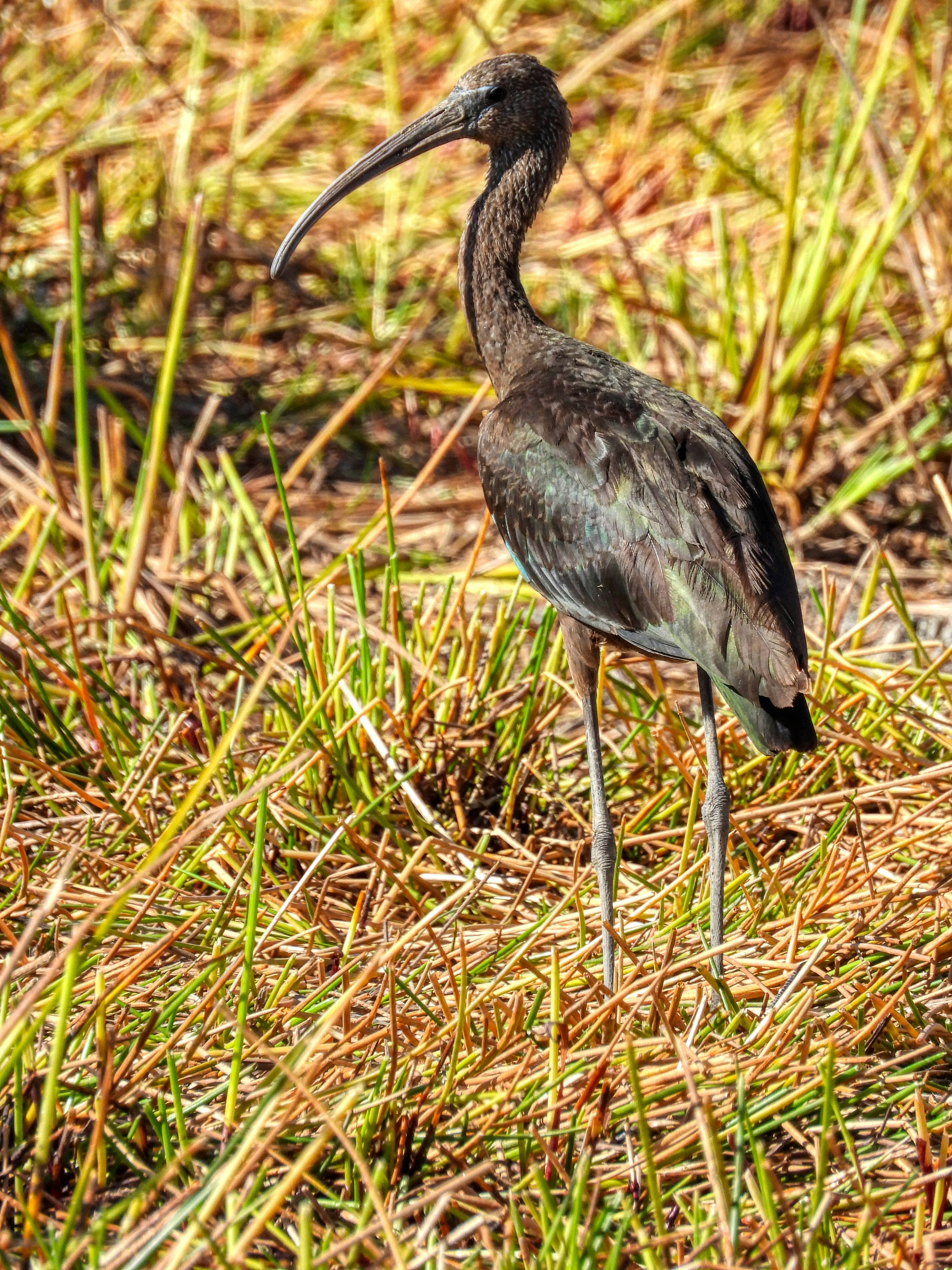 Photo by aliarjmandi