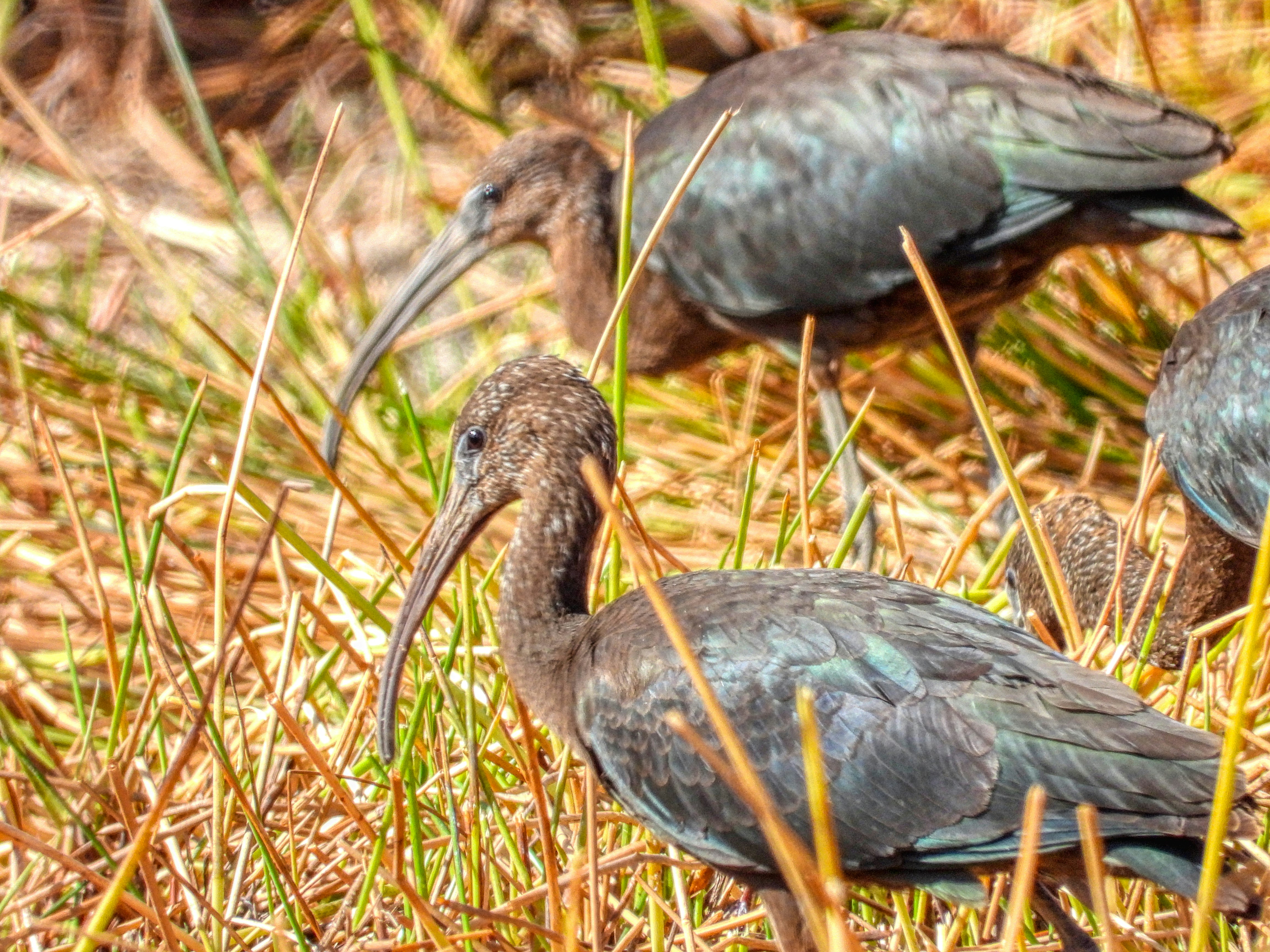 Photo by aliarjmandi