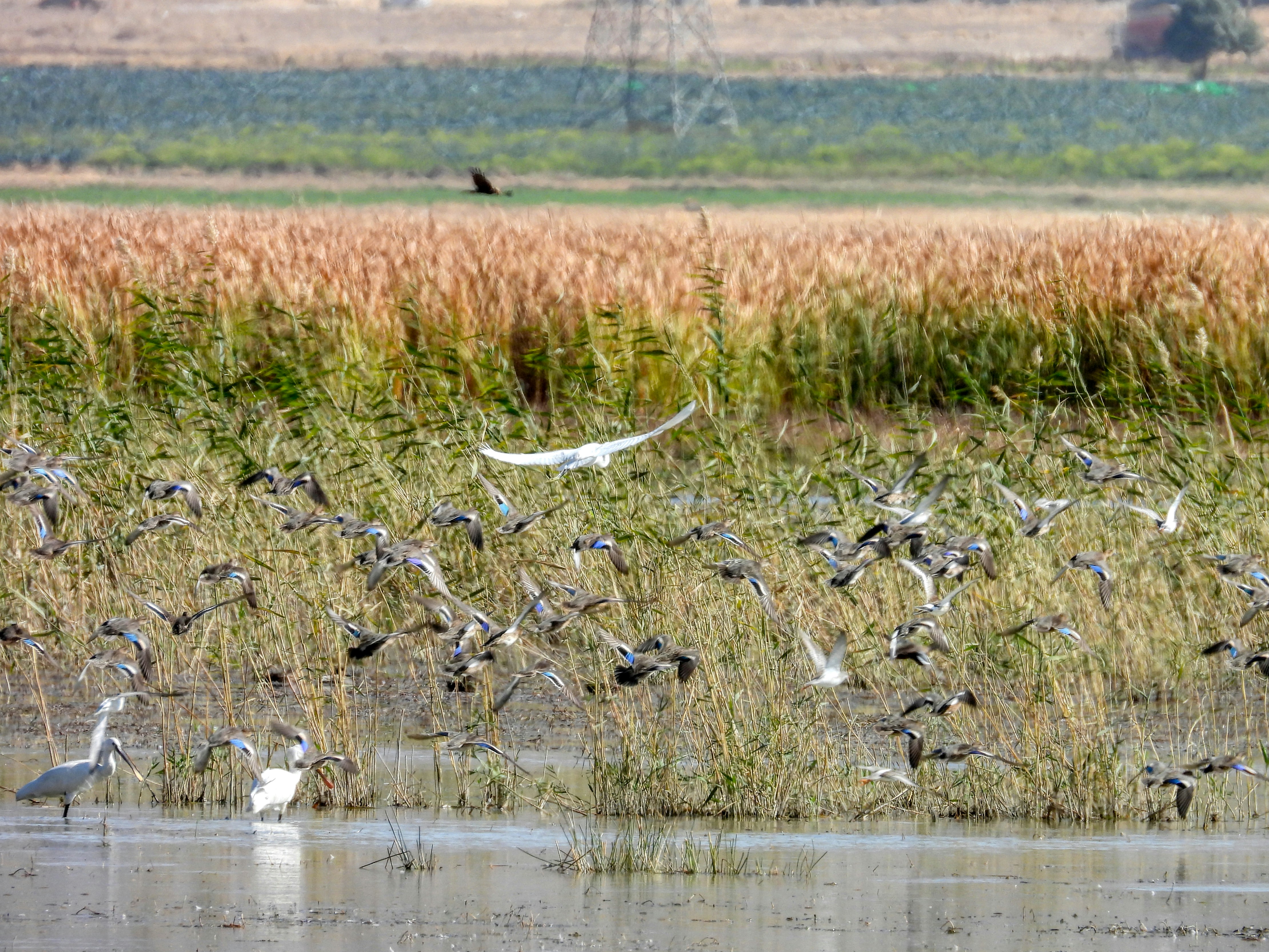 Photo by aliarjmandi