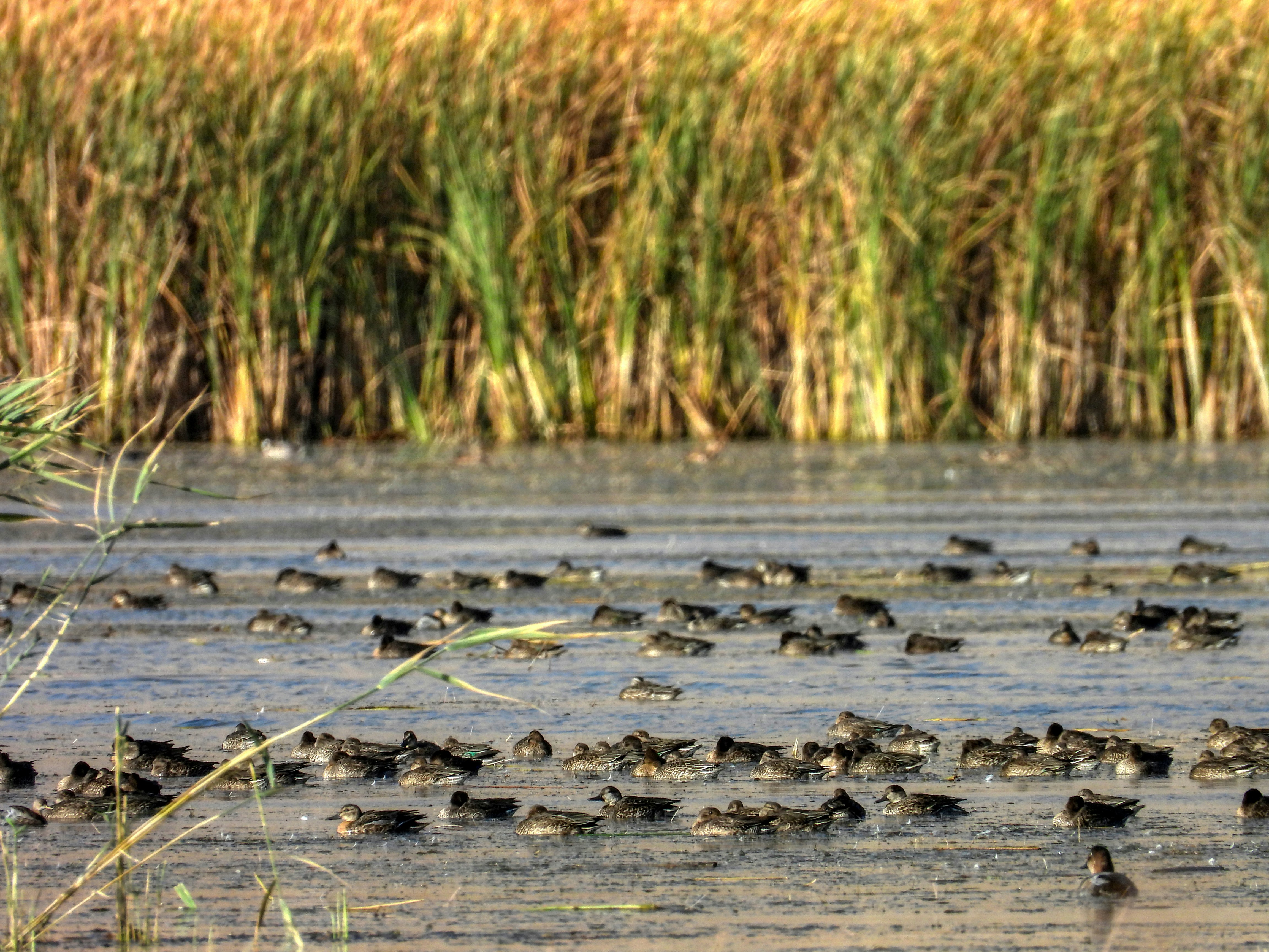 Photo by aliarjmandi