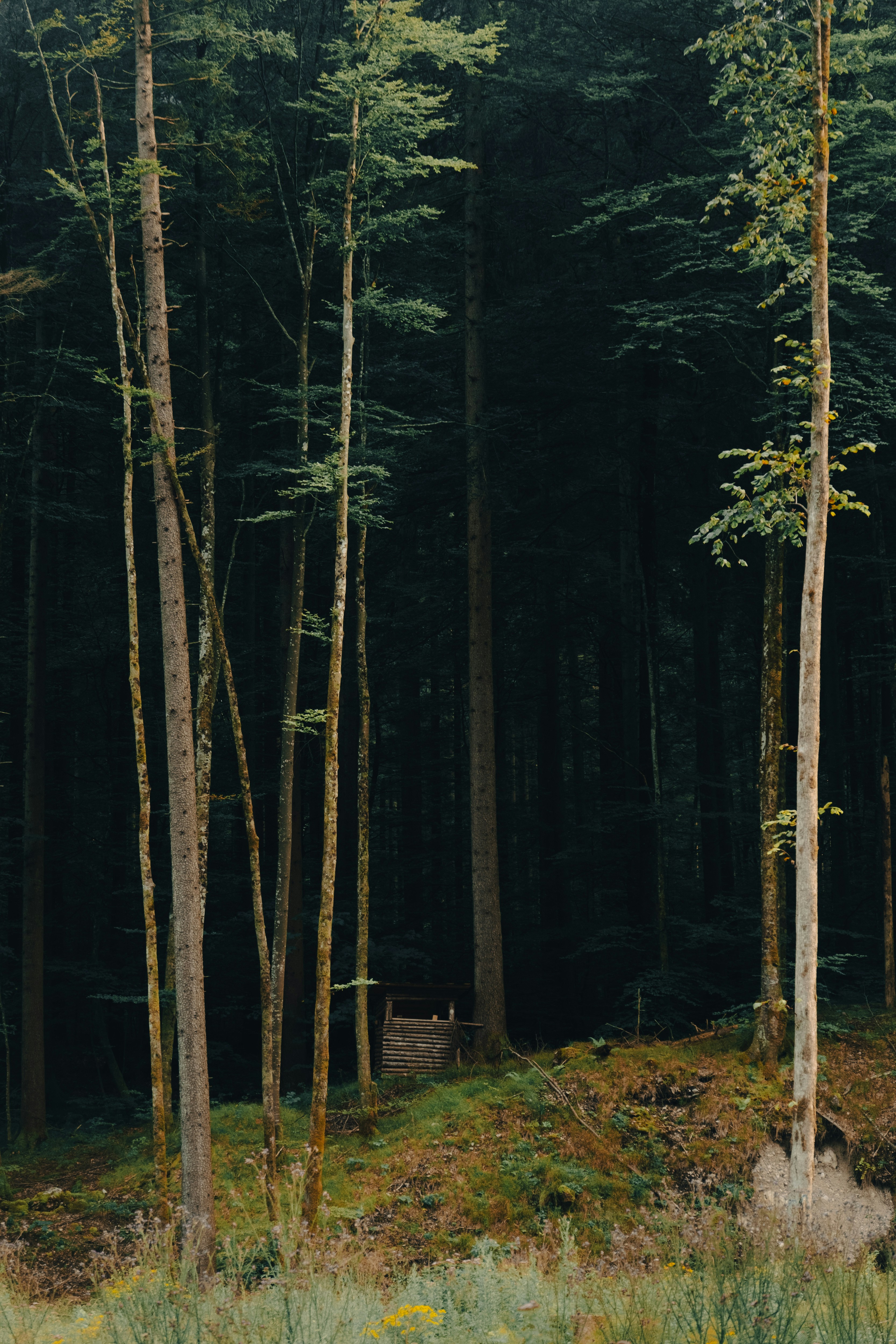 Photo by mateuszwasaznik