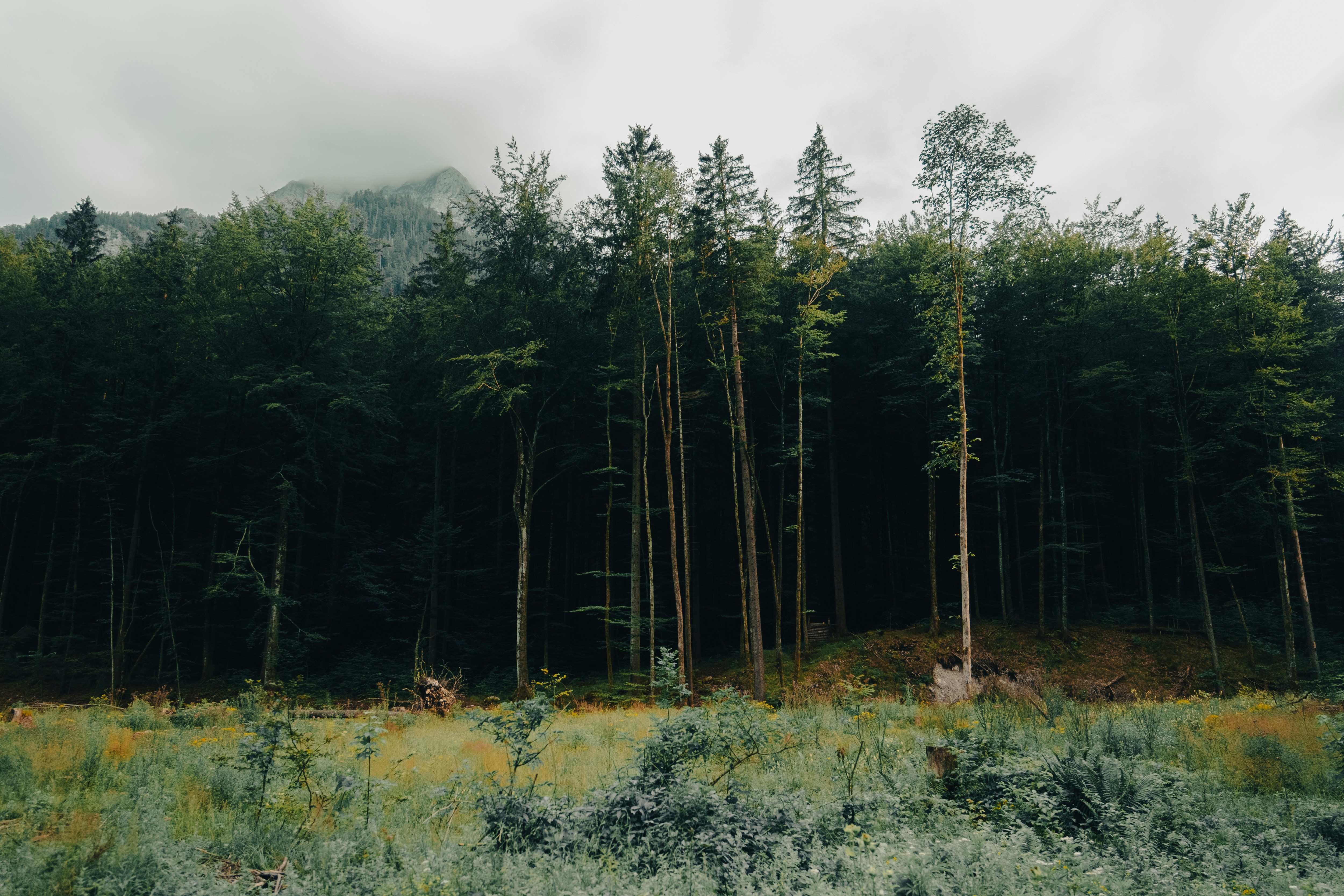 Photo by mateuszwasaznik