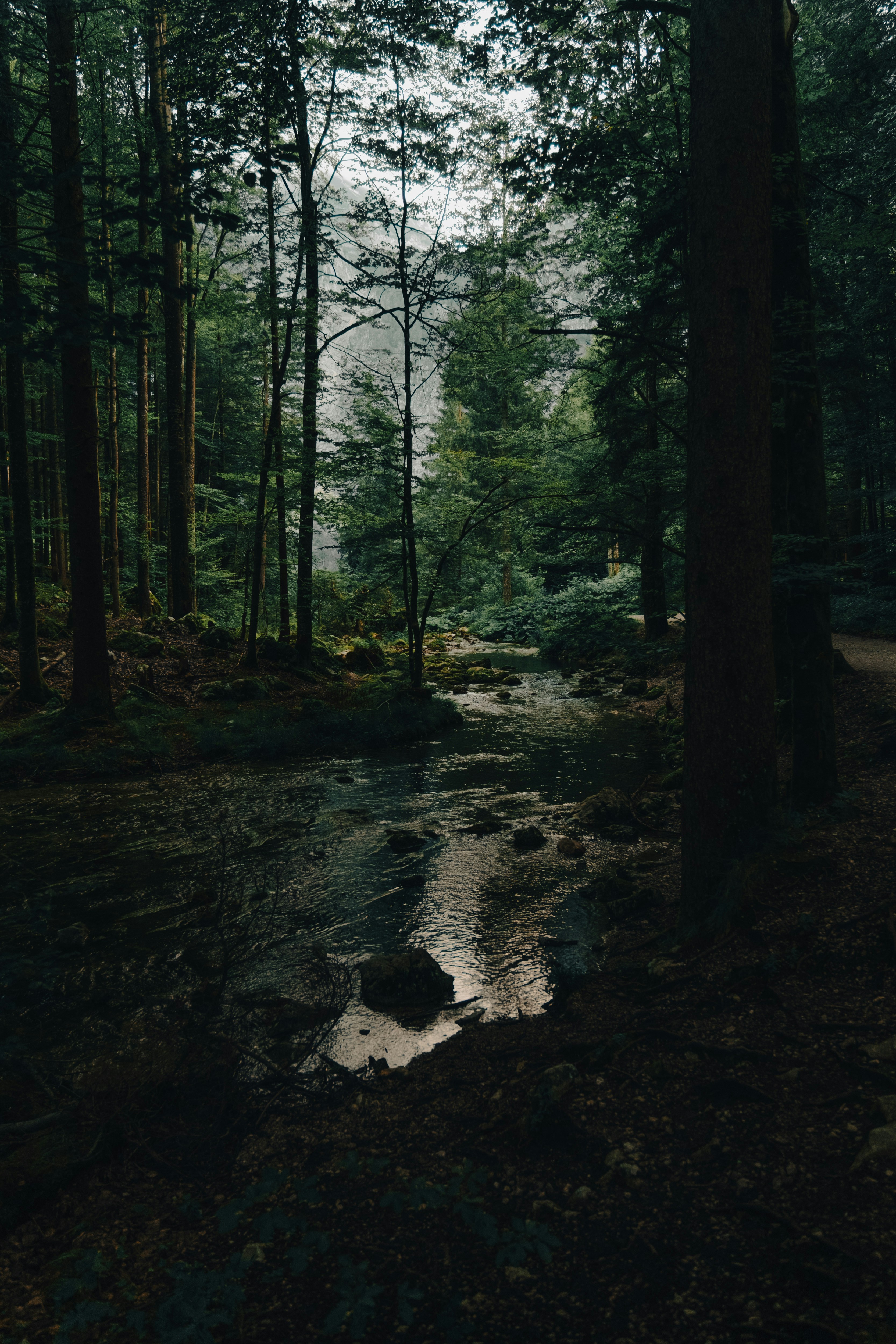 Photo by mateuszwasaznik