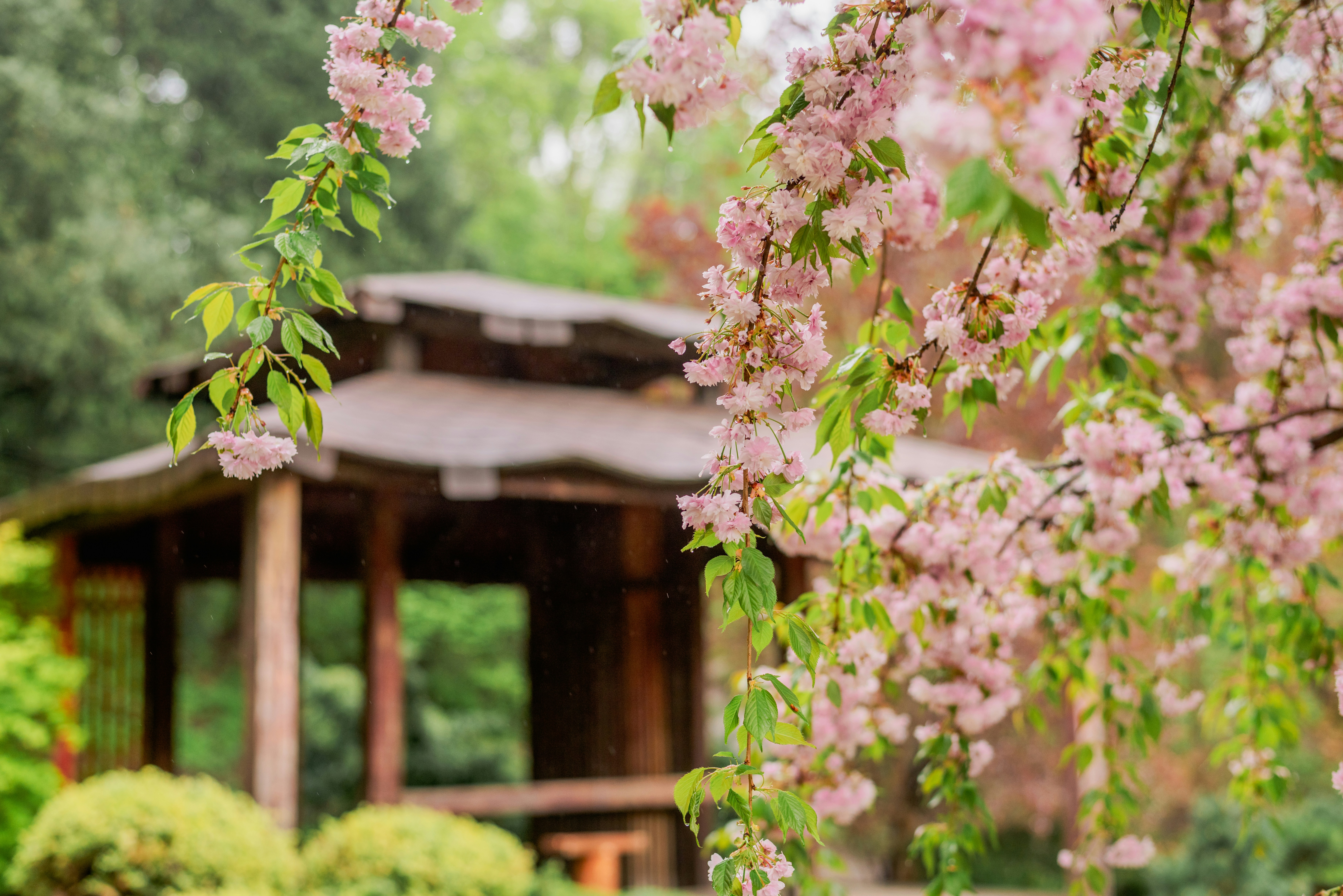 Photo by eugenivy_now