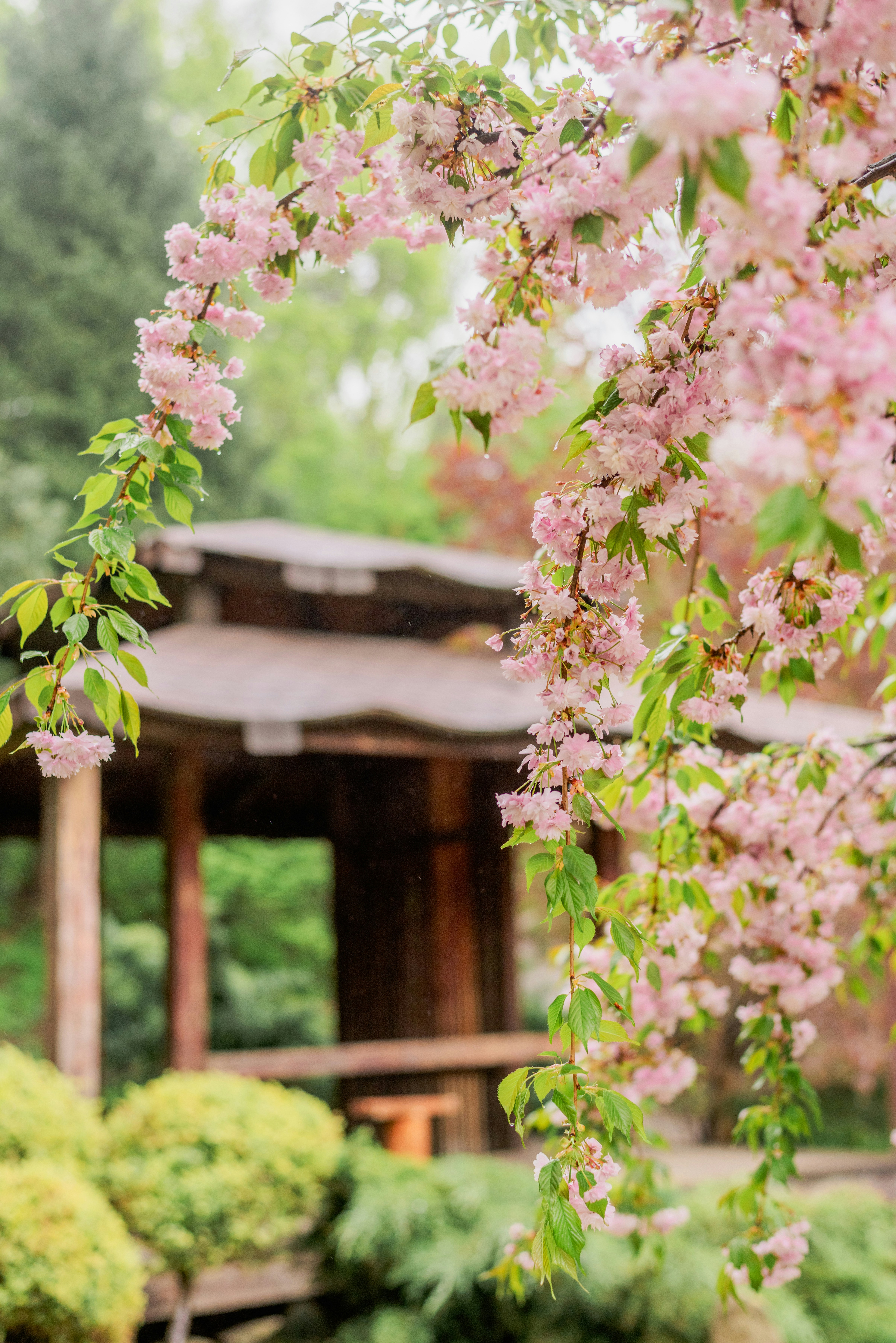 Photo by eugenivy_now