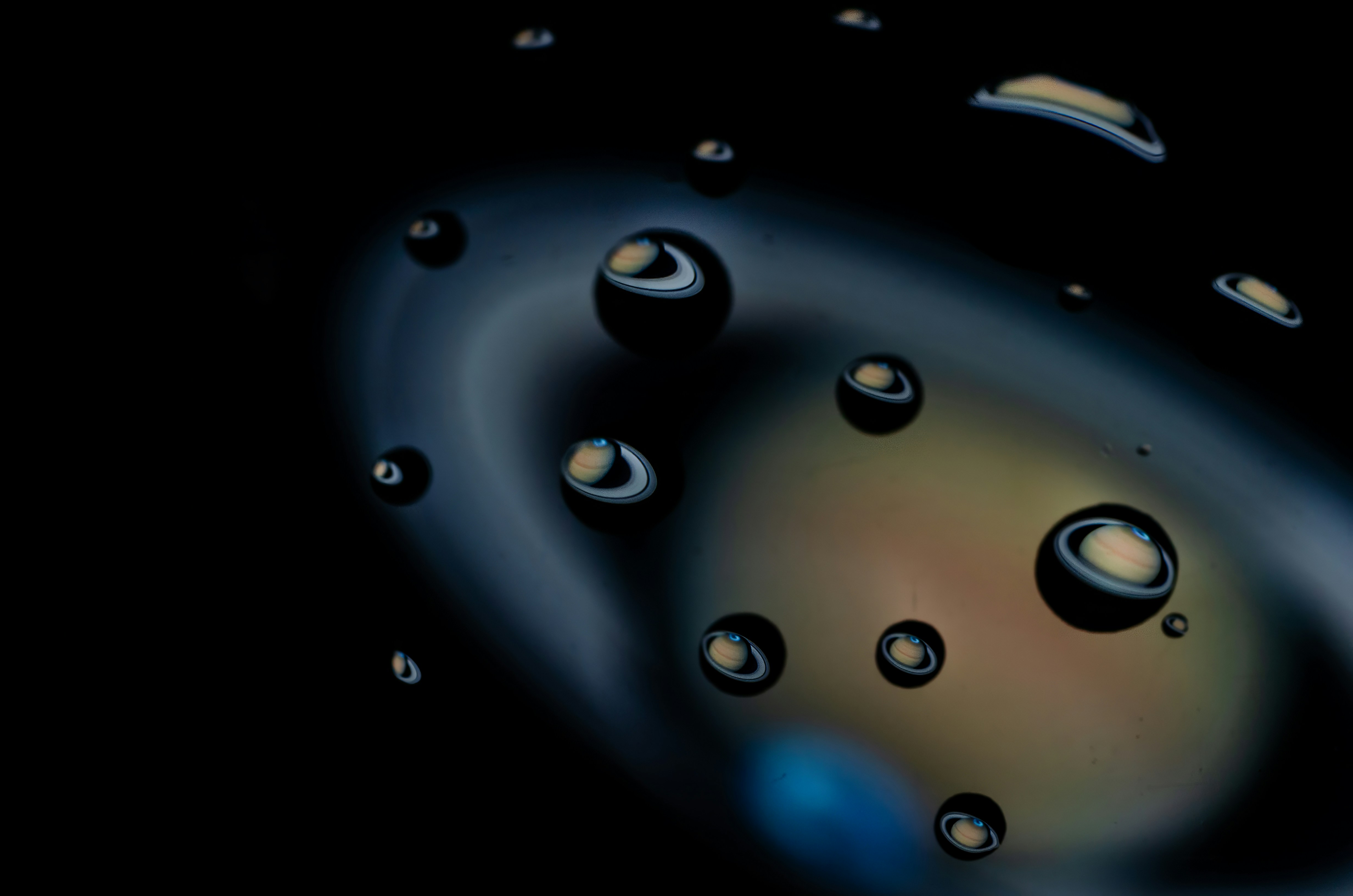 Photo by andrilliardbond