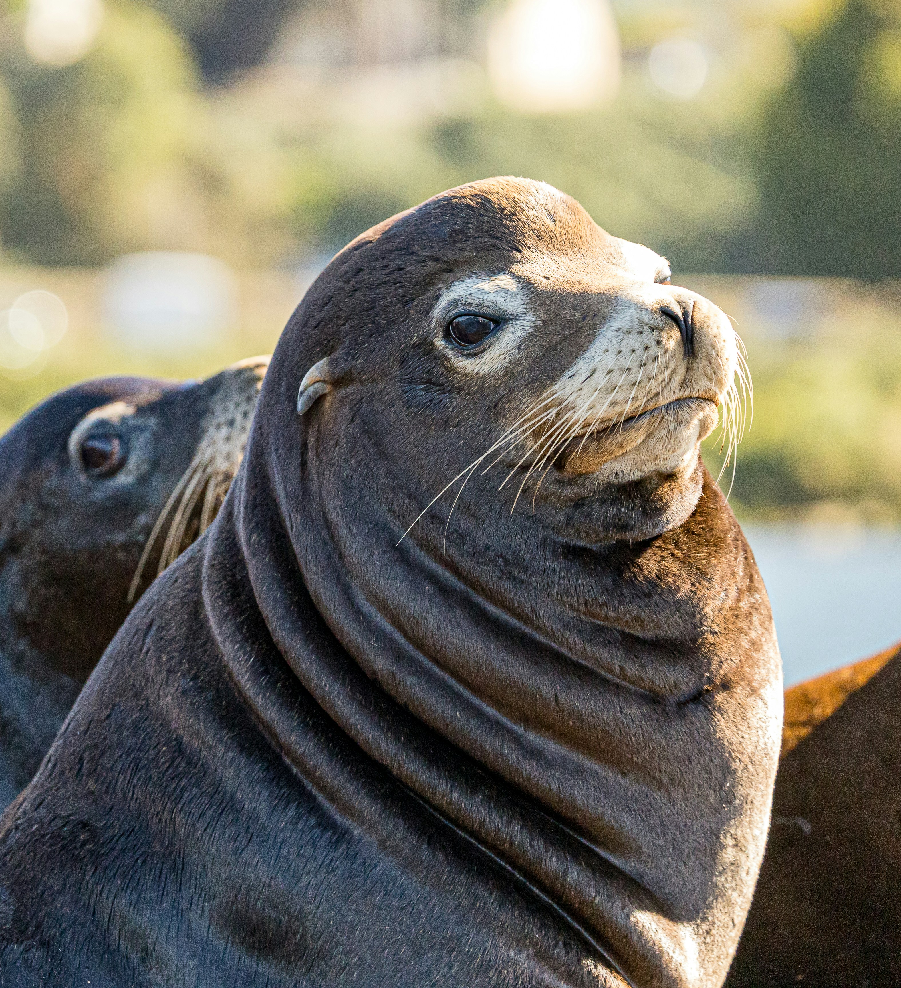 Photo by lancetraveler60