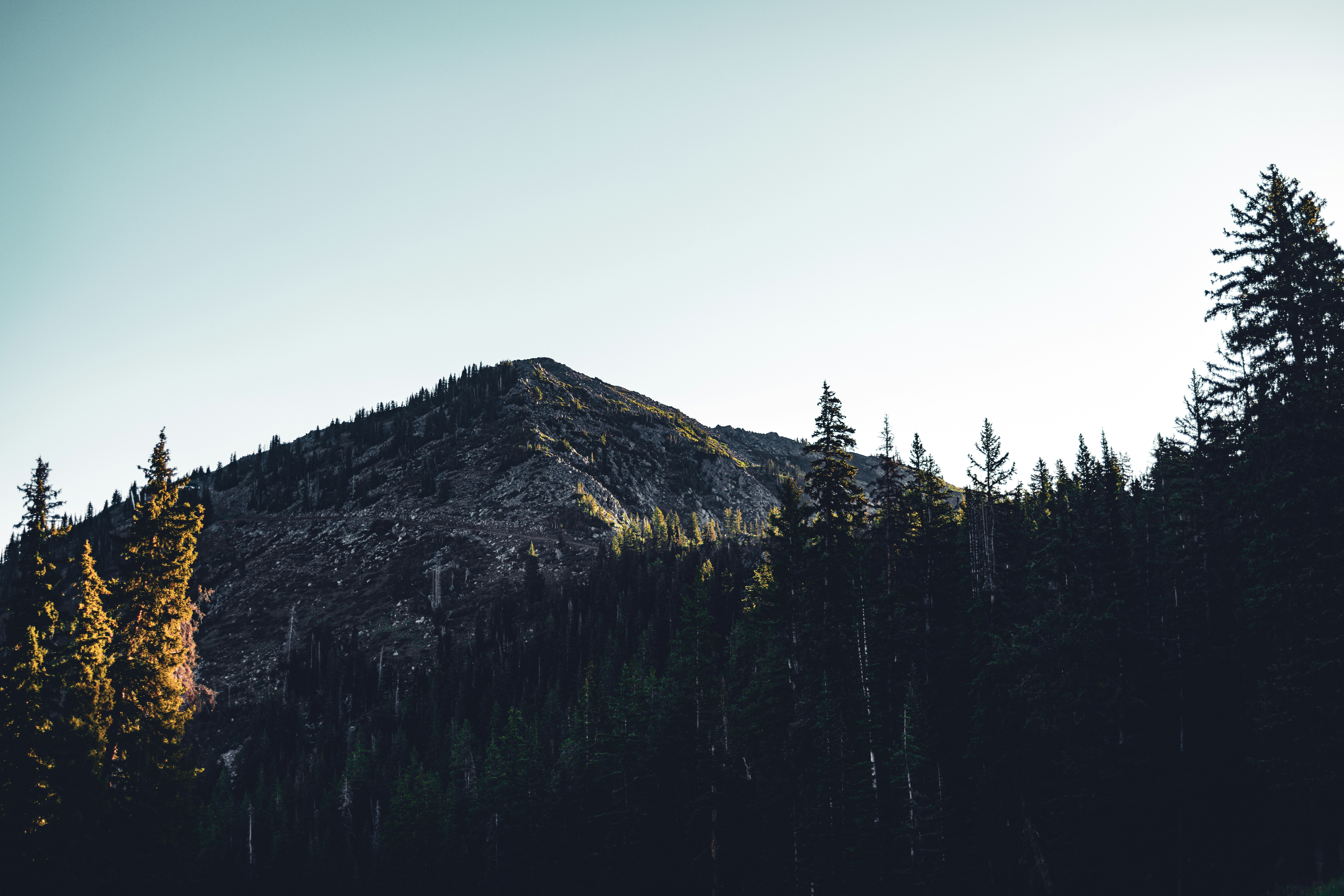 Photo by thetrentonsmith