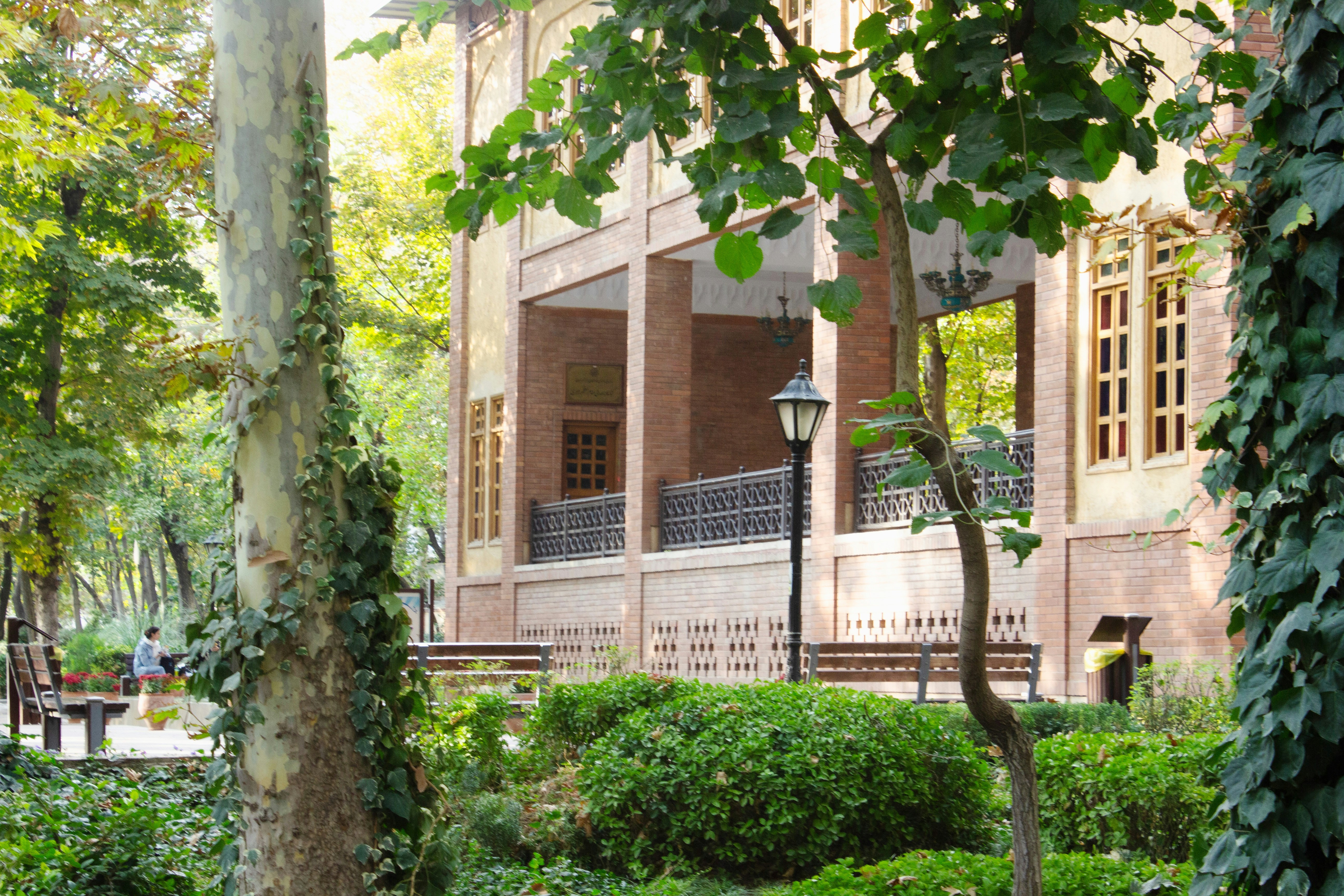 Photo by elham_frame