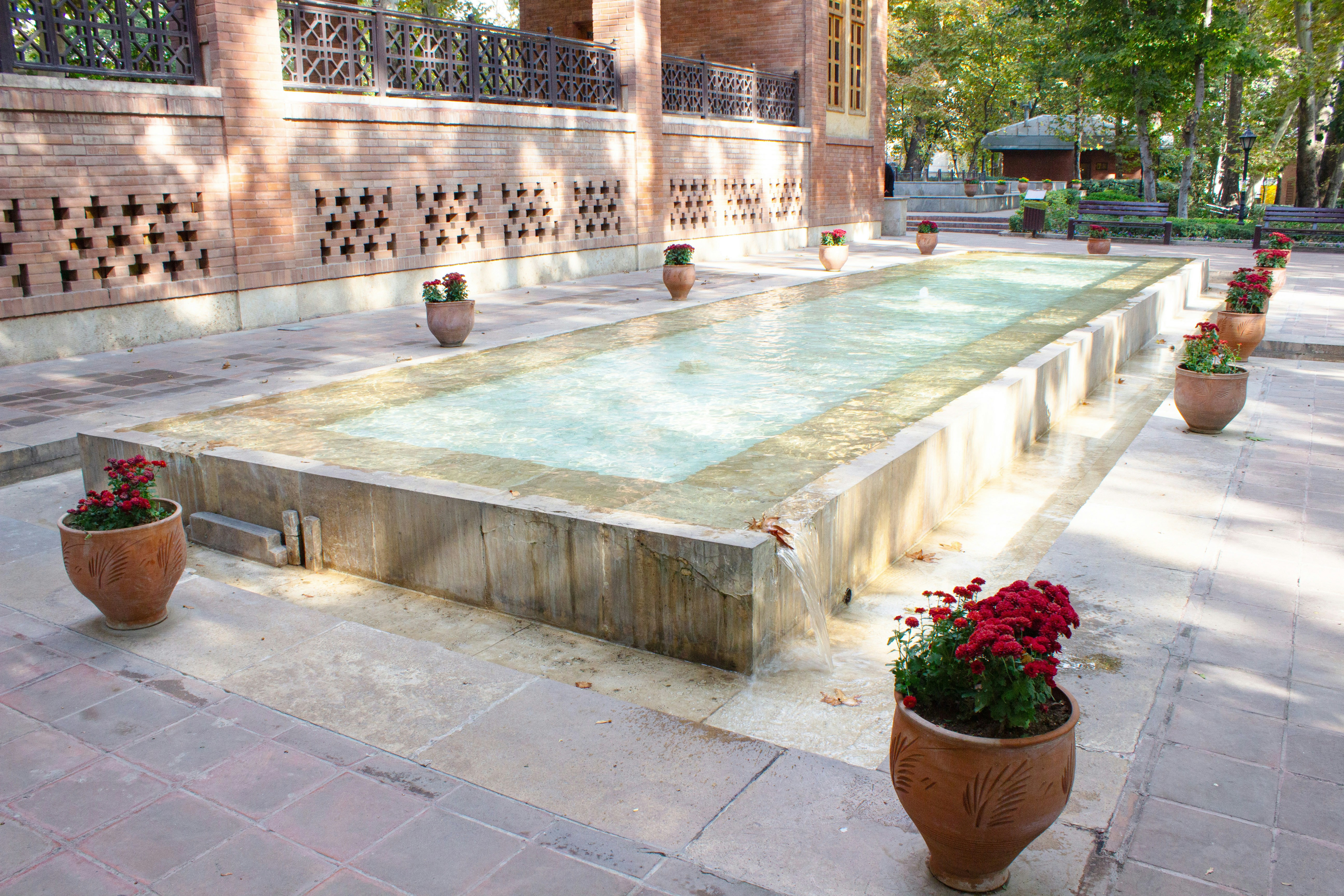 A pool surrounded by potted plants in a courtyard