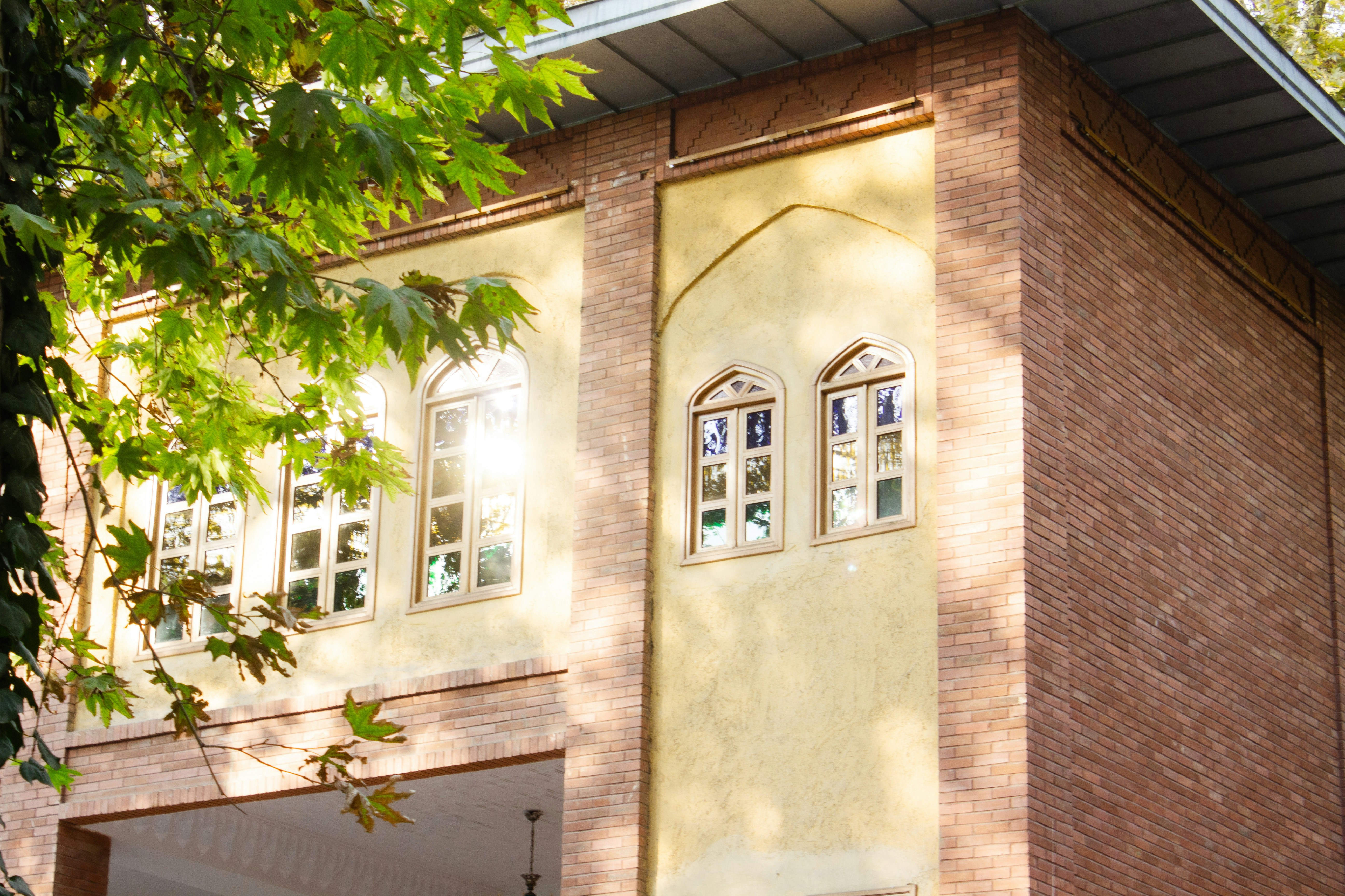 Photo by elham_frame