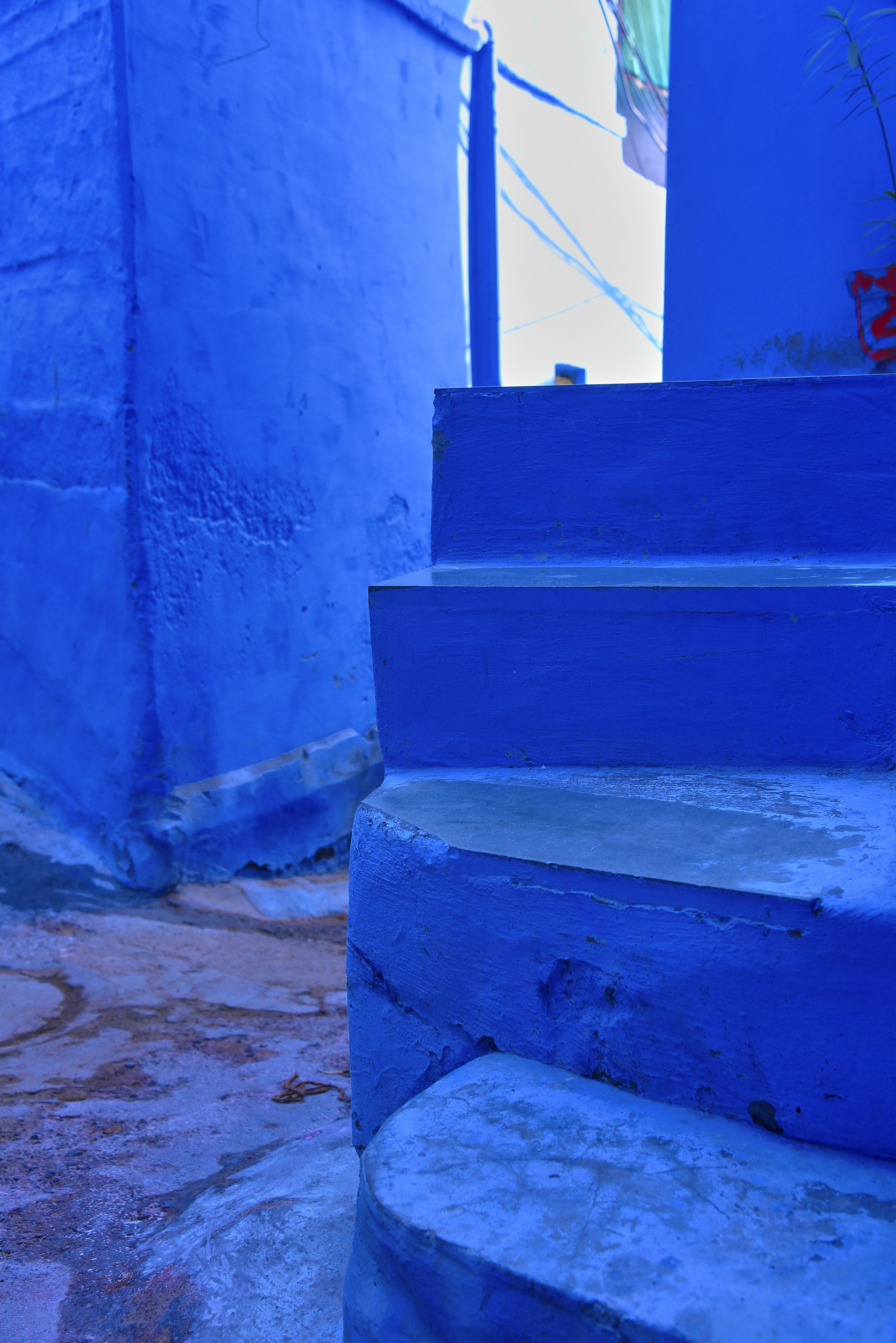 אובדנות ואיומי התאבדות בראי הסמכות החדשה