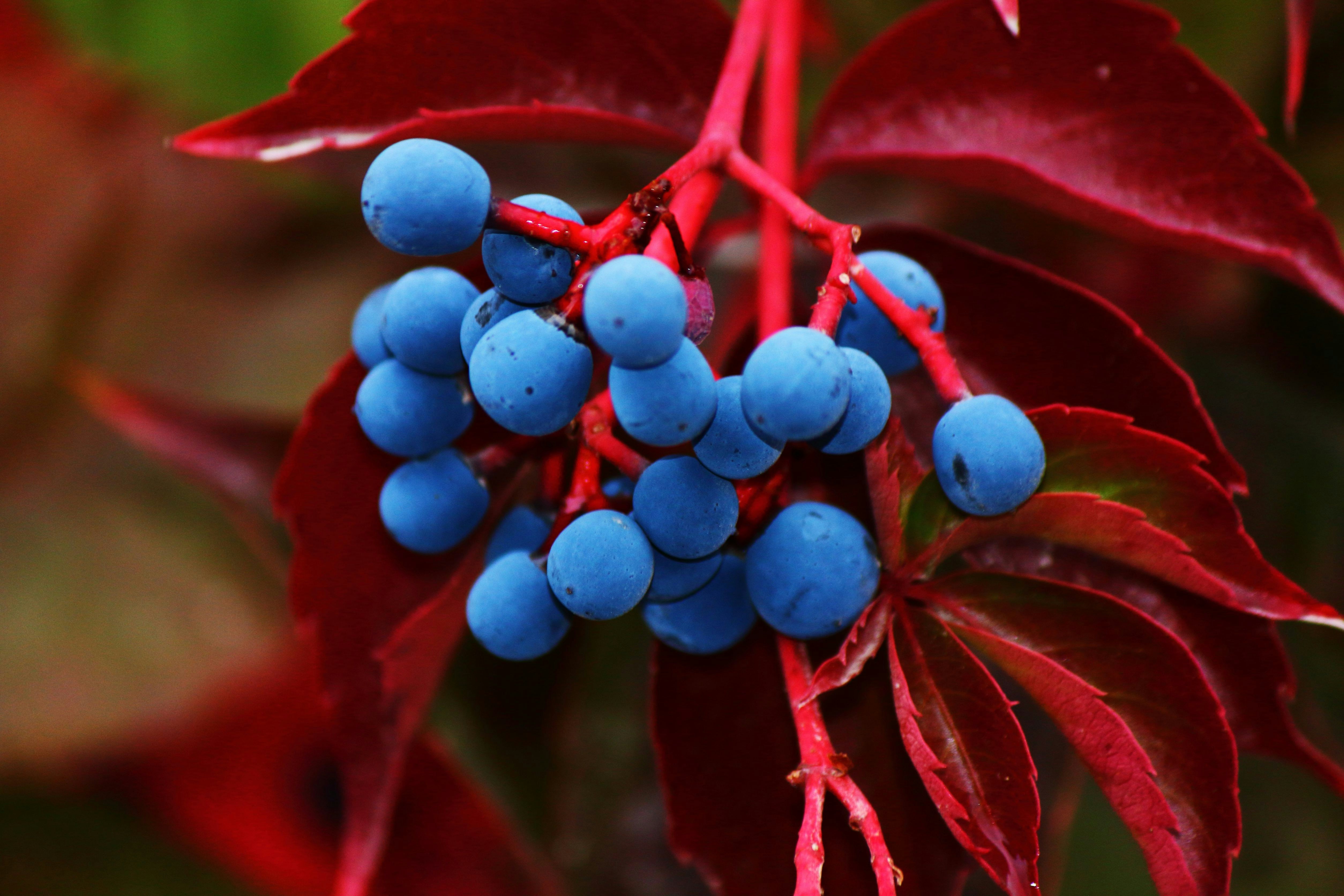 Photo by cengizozarpat