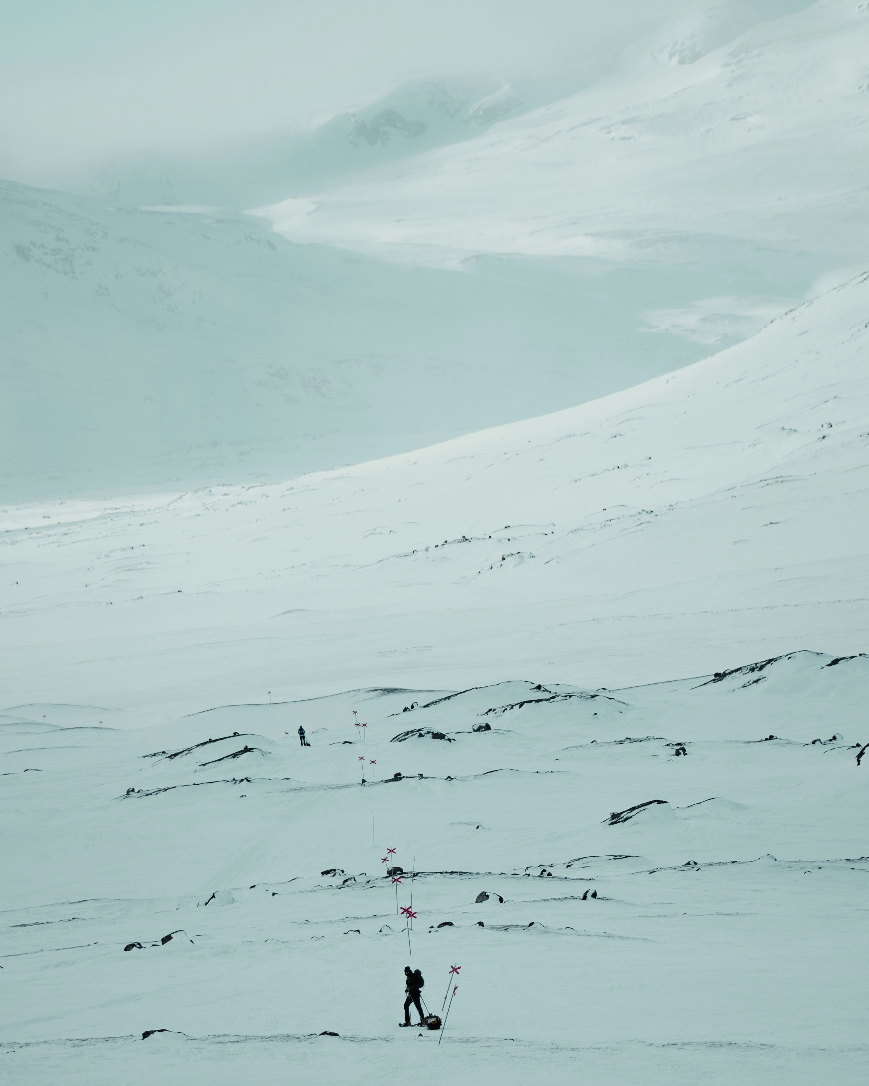 Photo by michielannaert