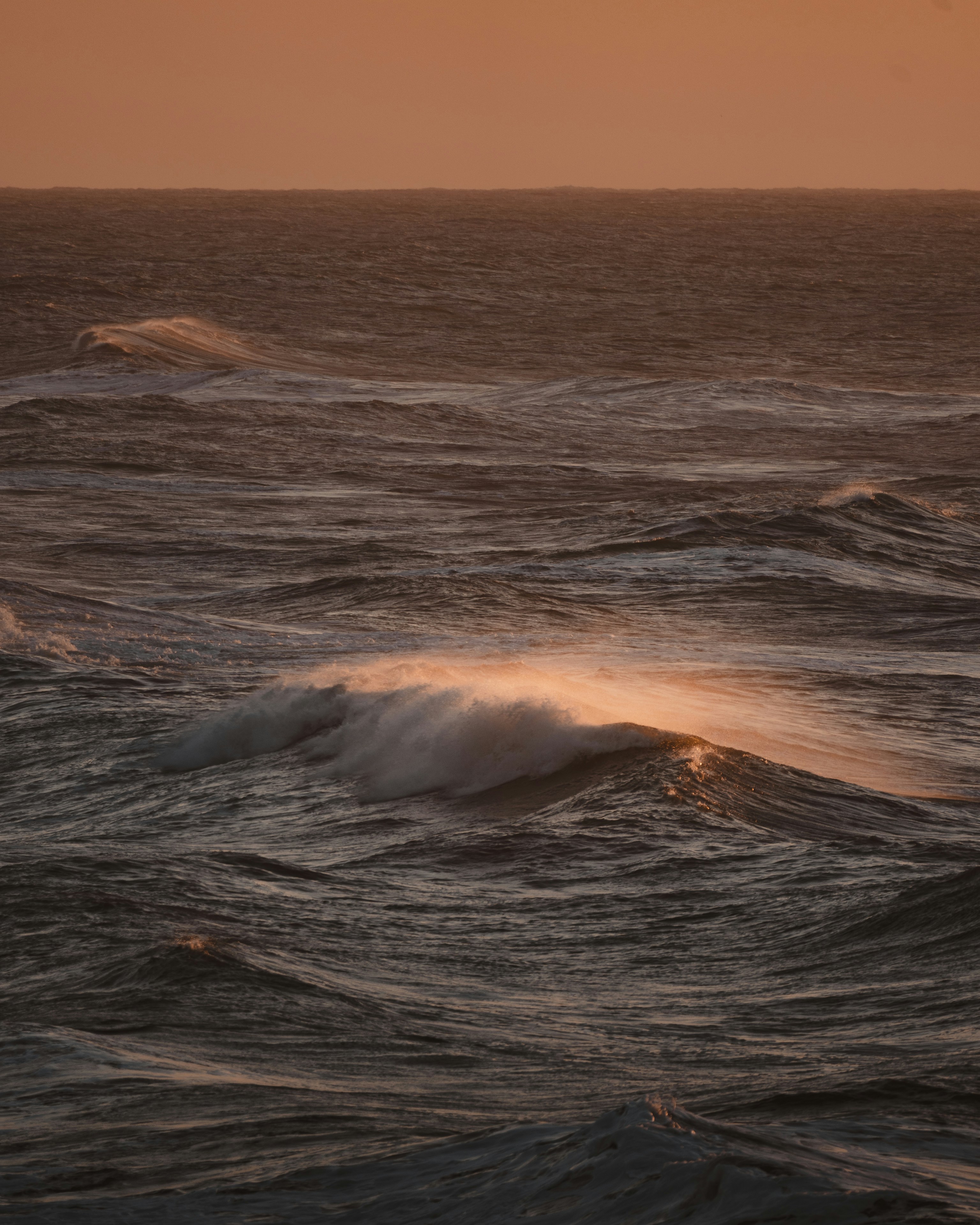 Photo by michielannaert