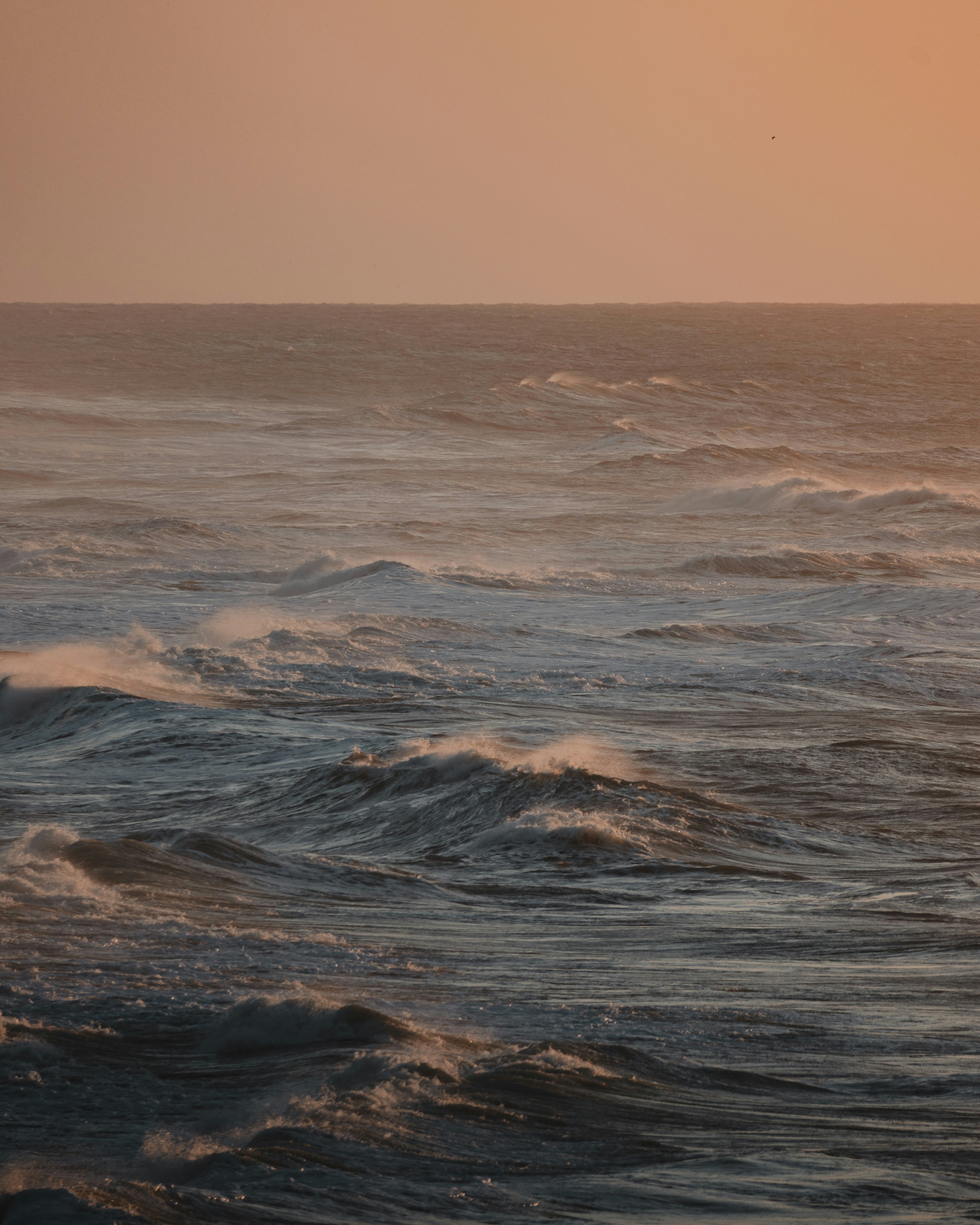 Photo by michielannaert