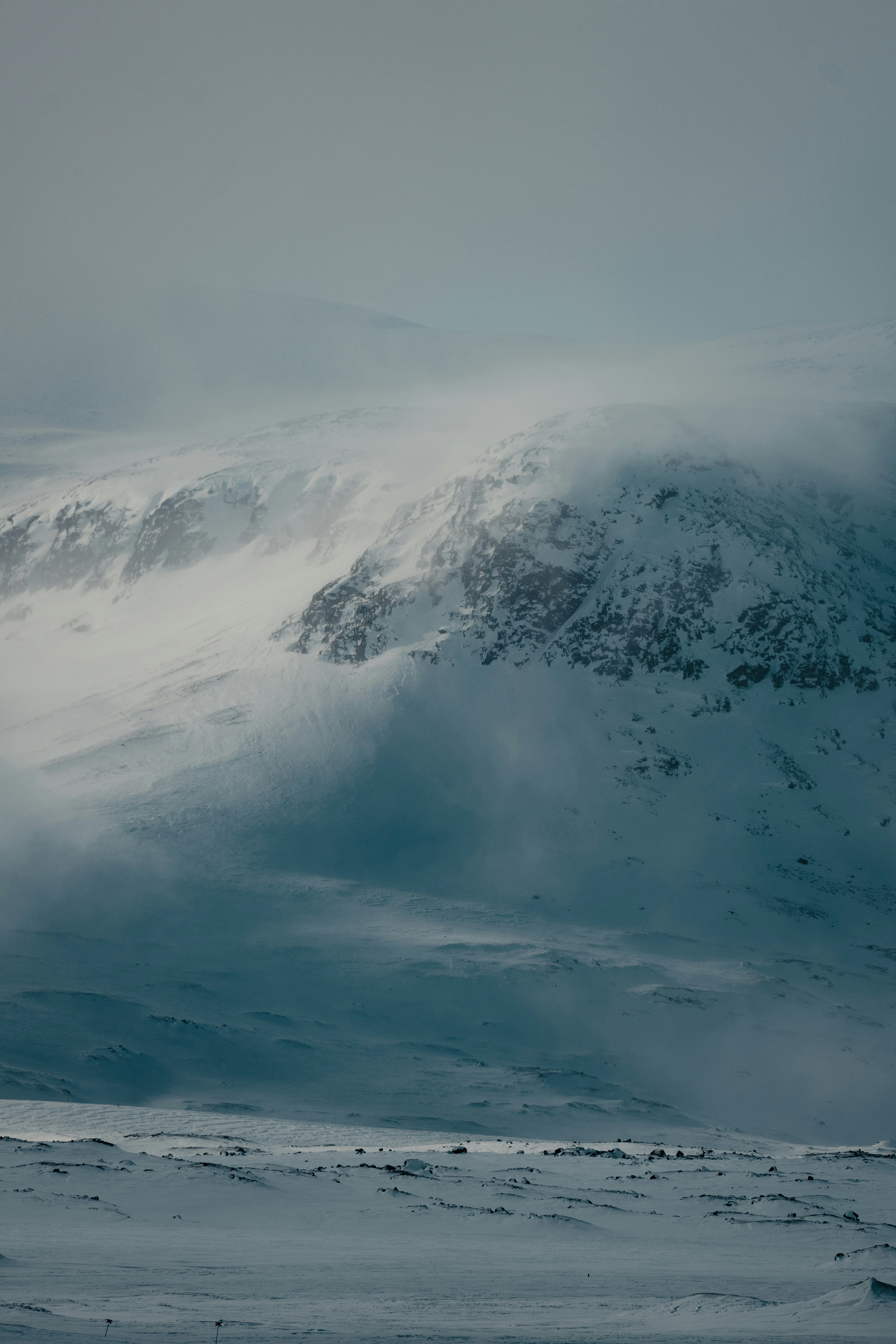 Photo by michielannaert