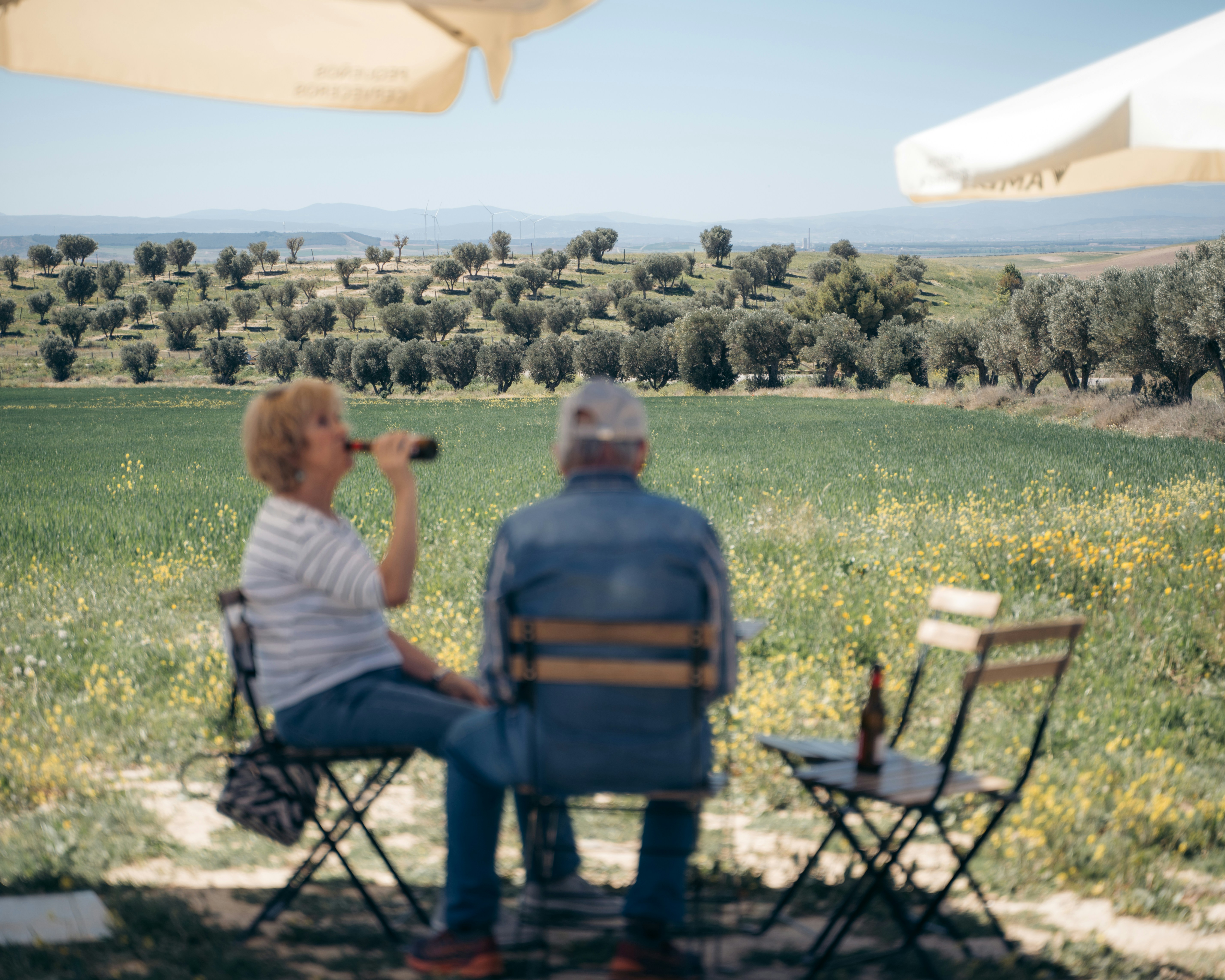 Elderly couple enjoying a beer in a vineyard in the south of France