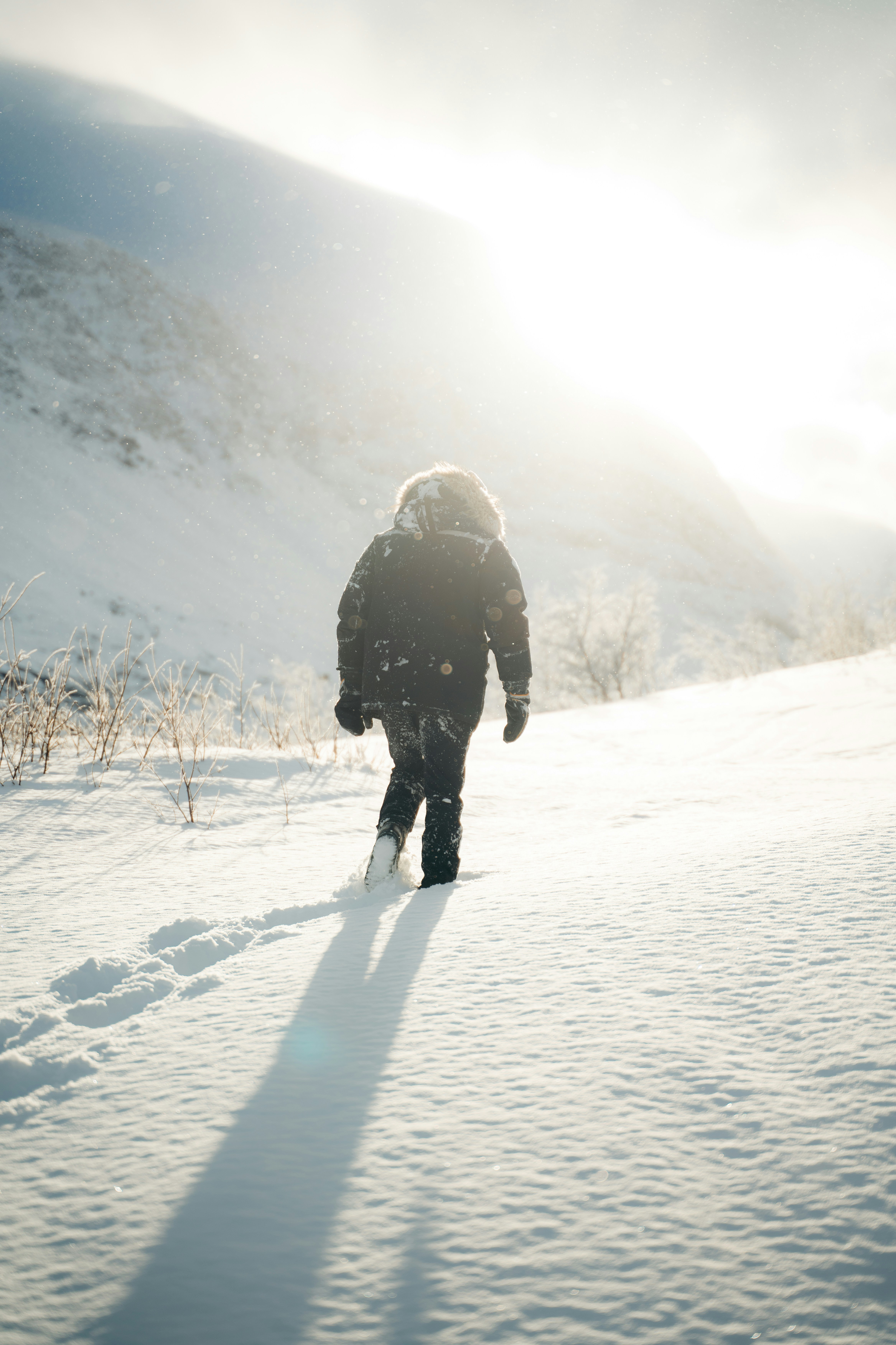 Photo by michielannaert