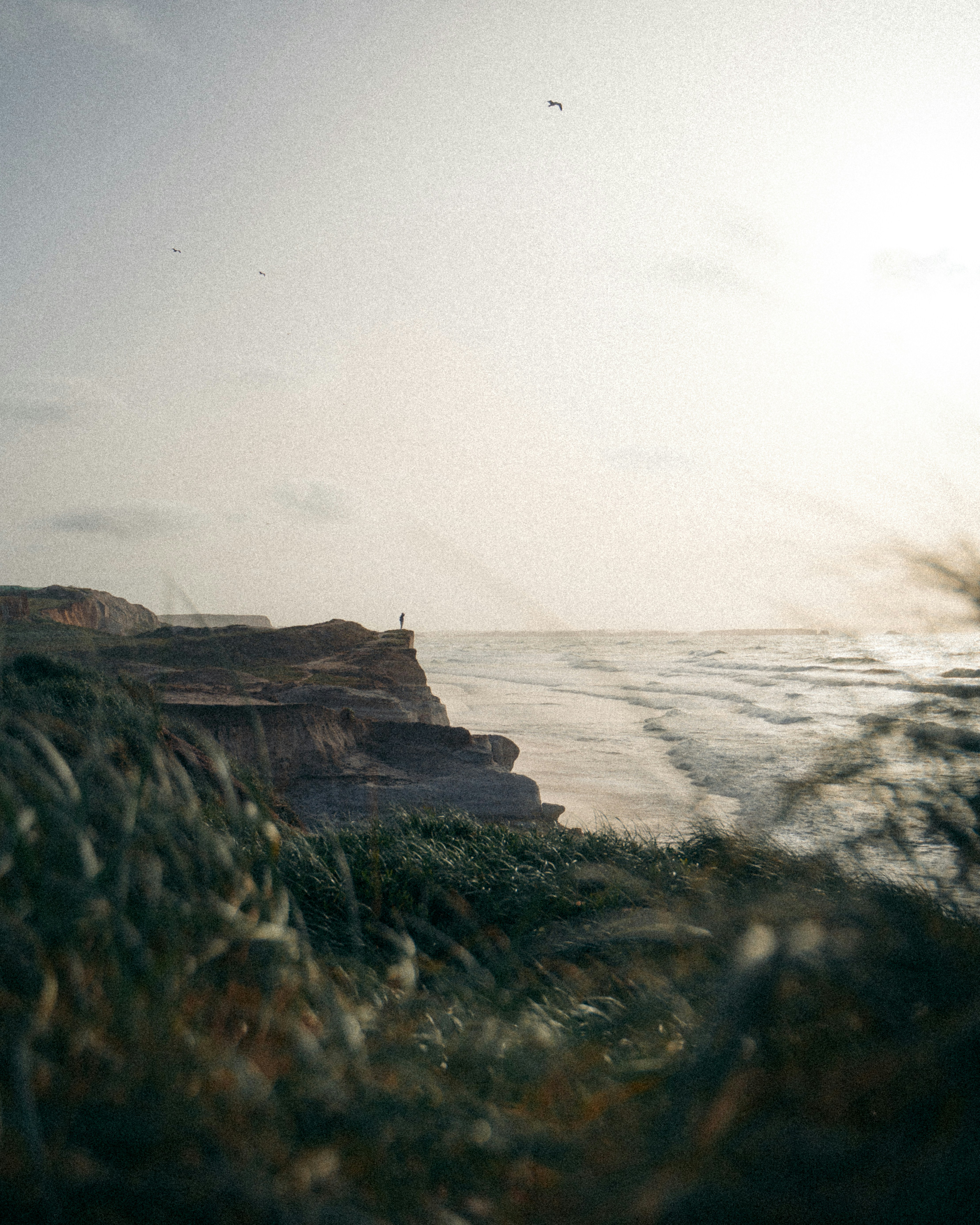 Photo by michielannaert