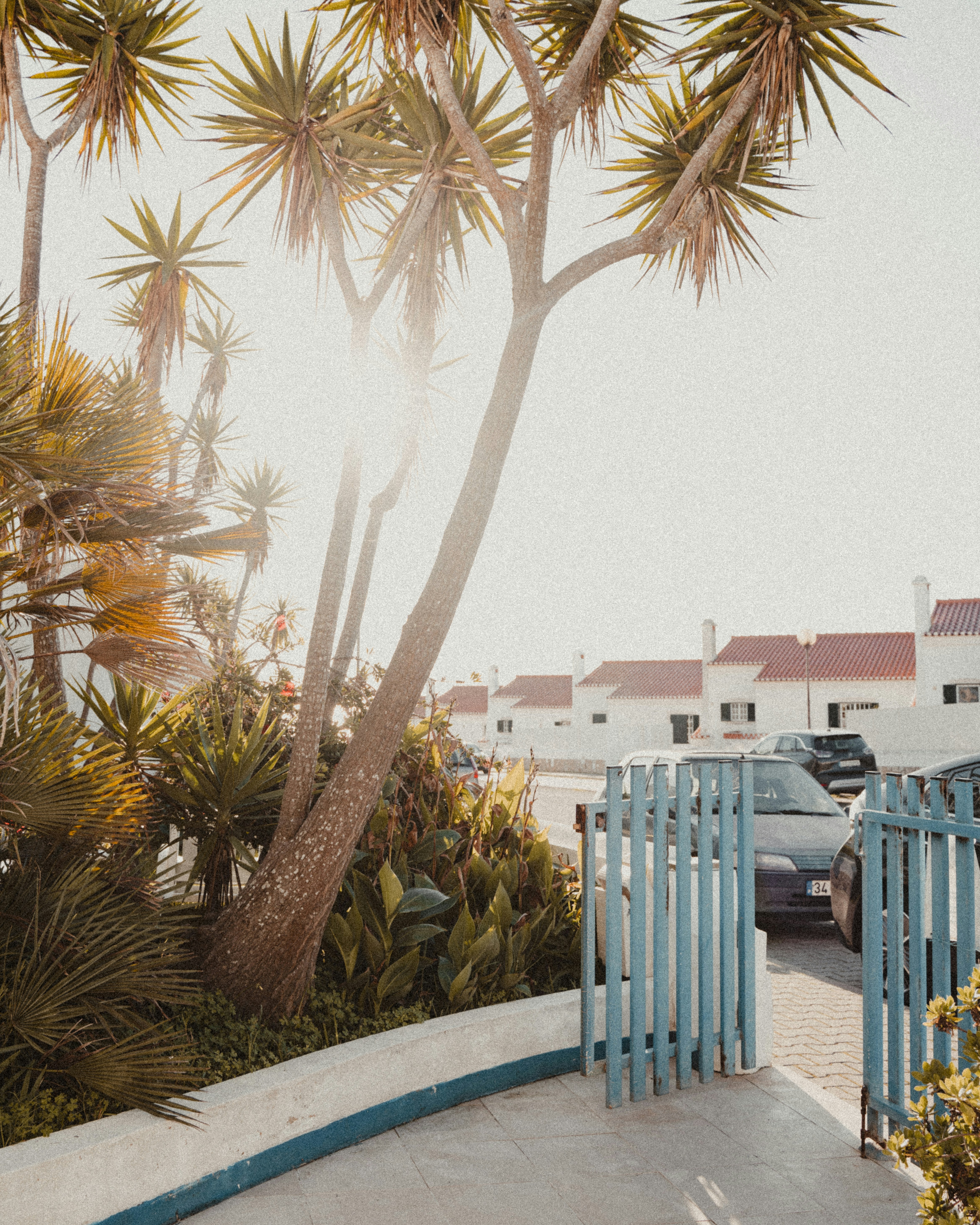 Photo by michielannaert