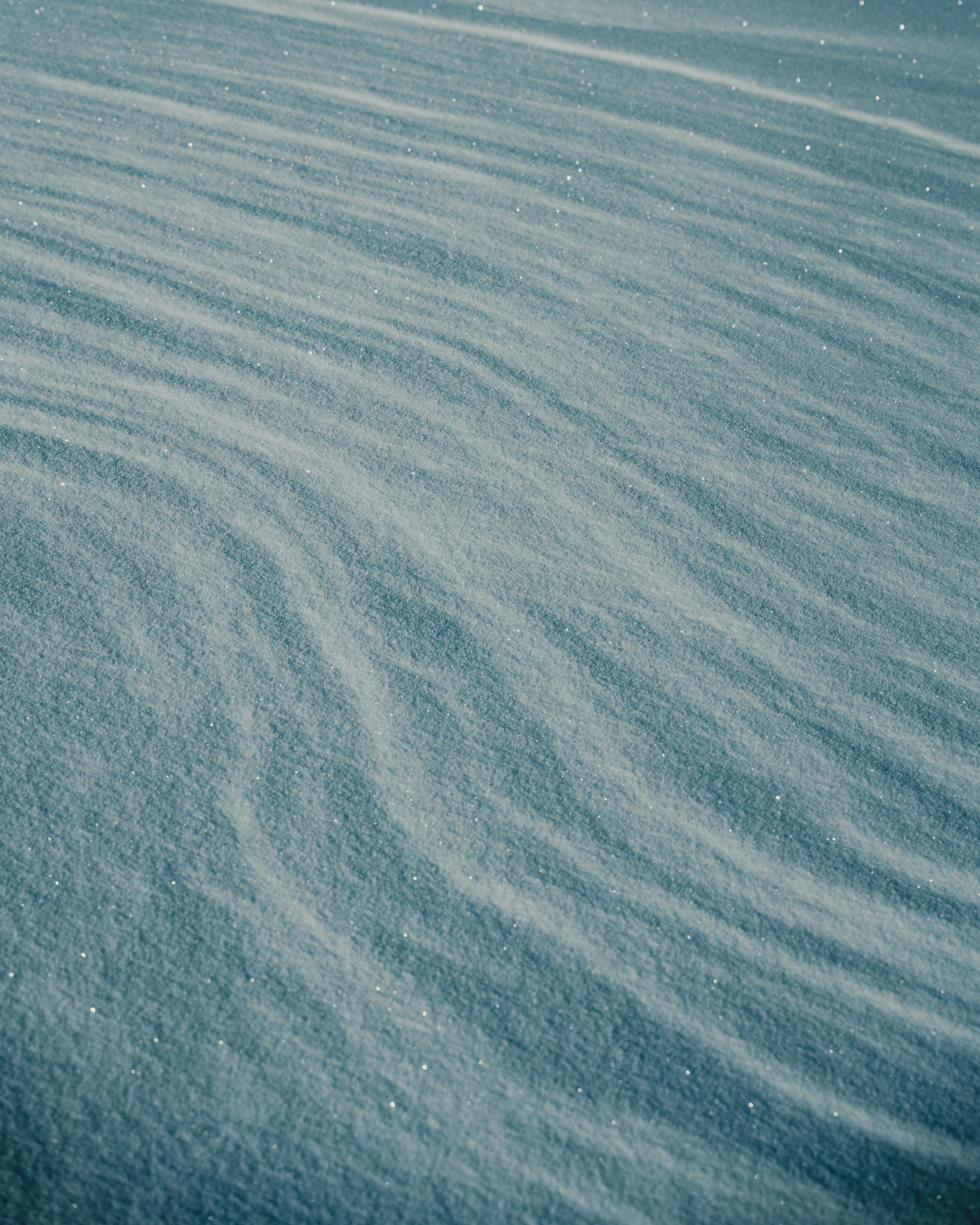 Photo by michielannaert