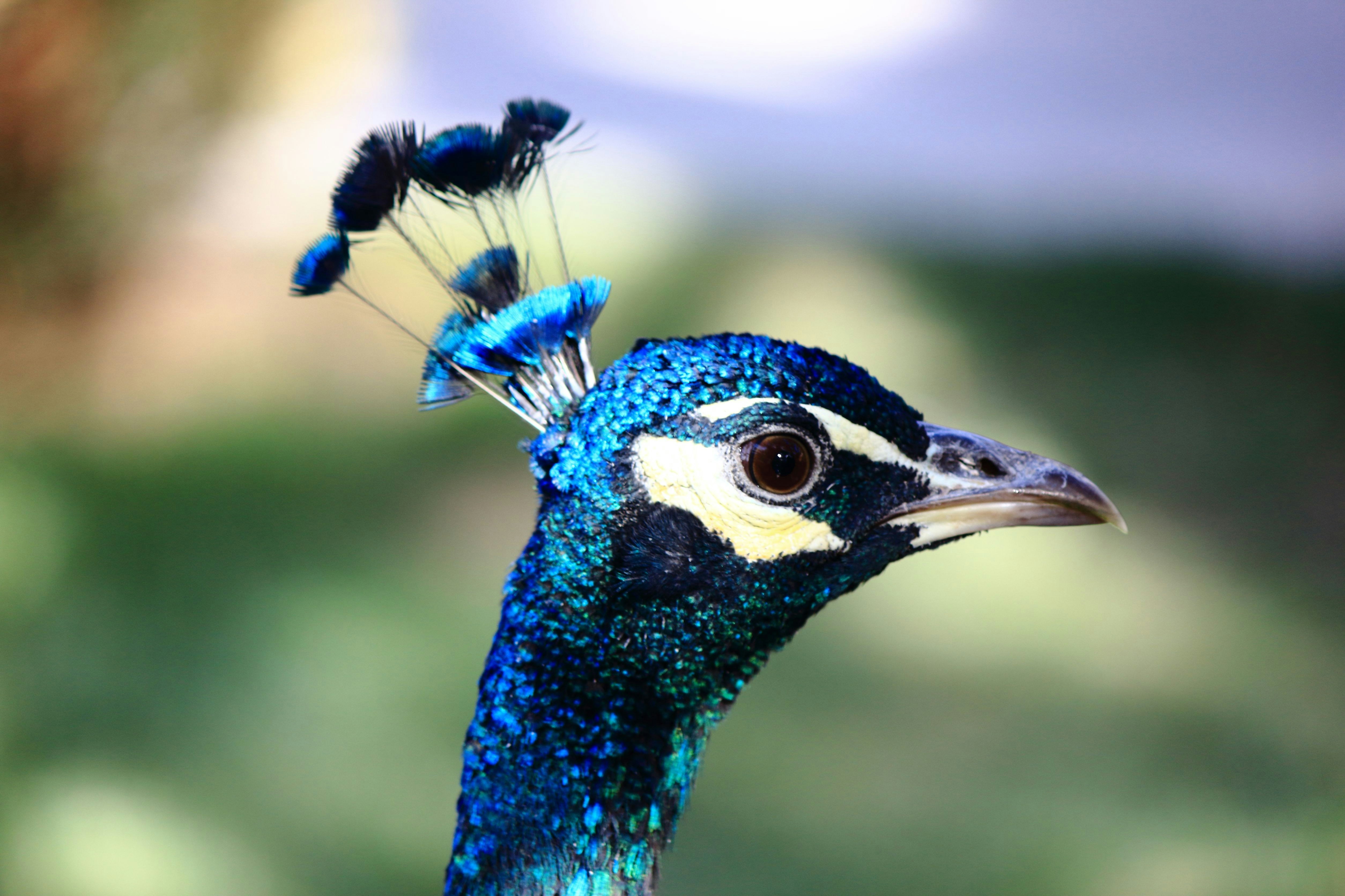 Photo by cengizozarpat