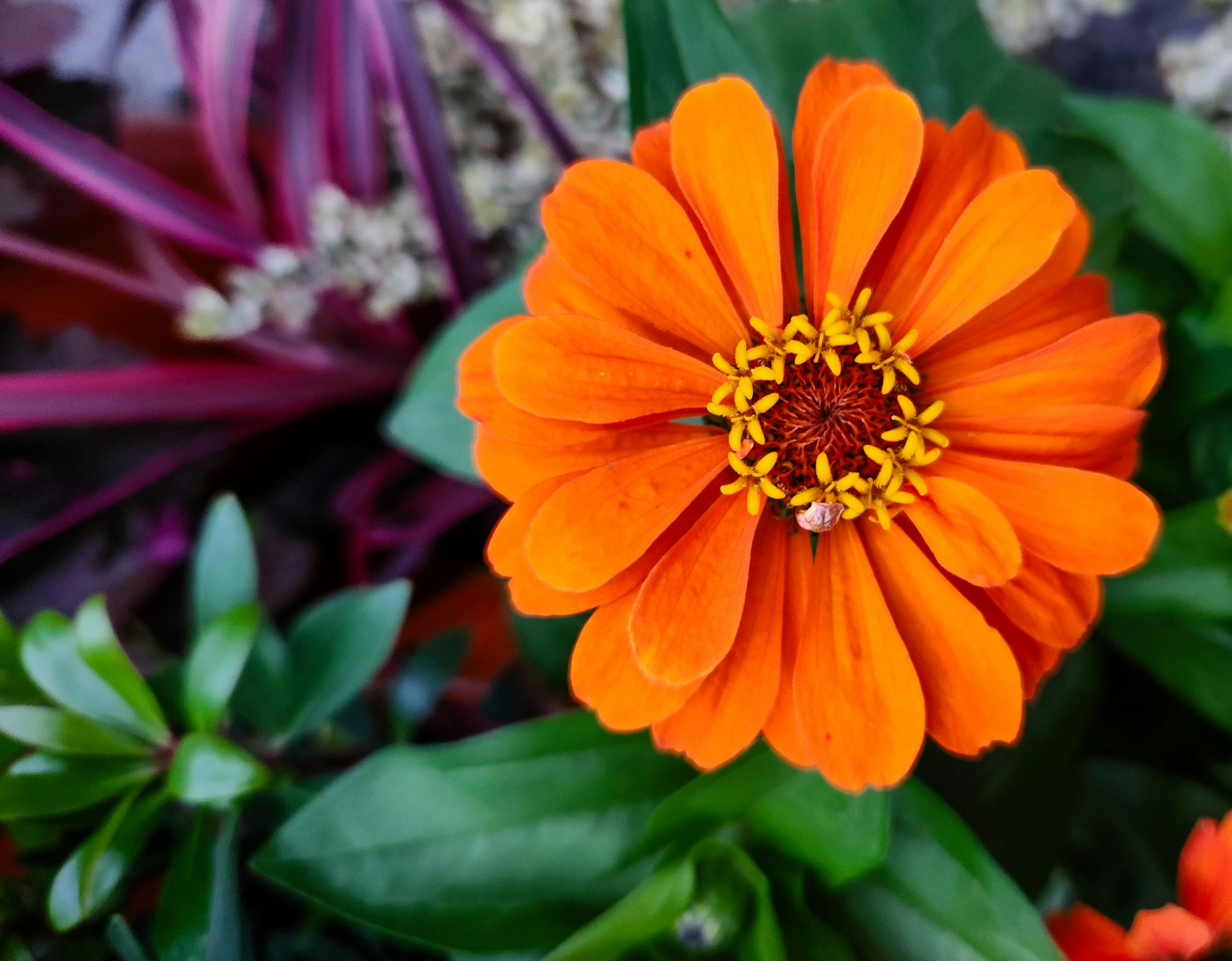 Photo by zoshuacolah