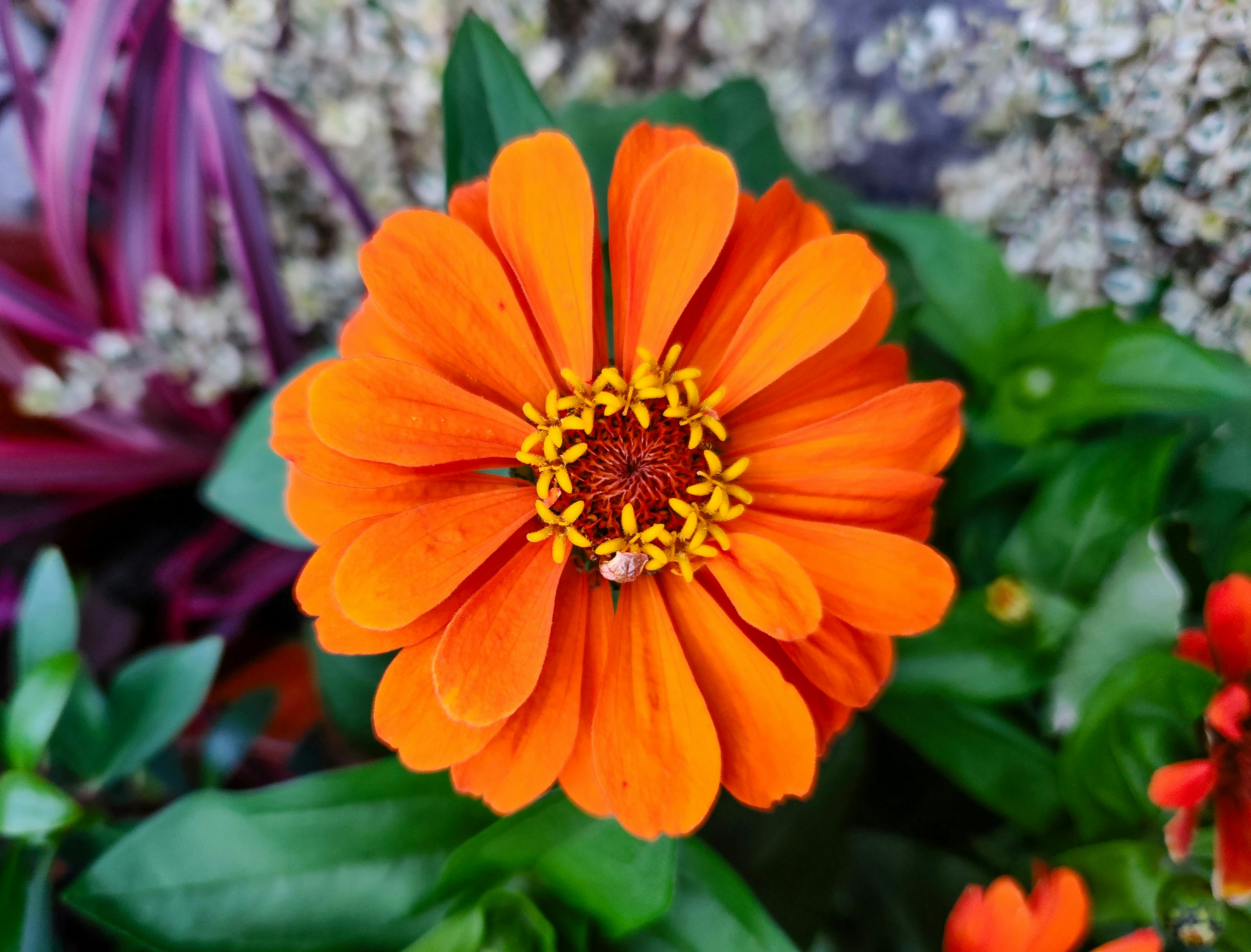 Photo by zoshuacolah