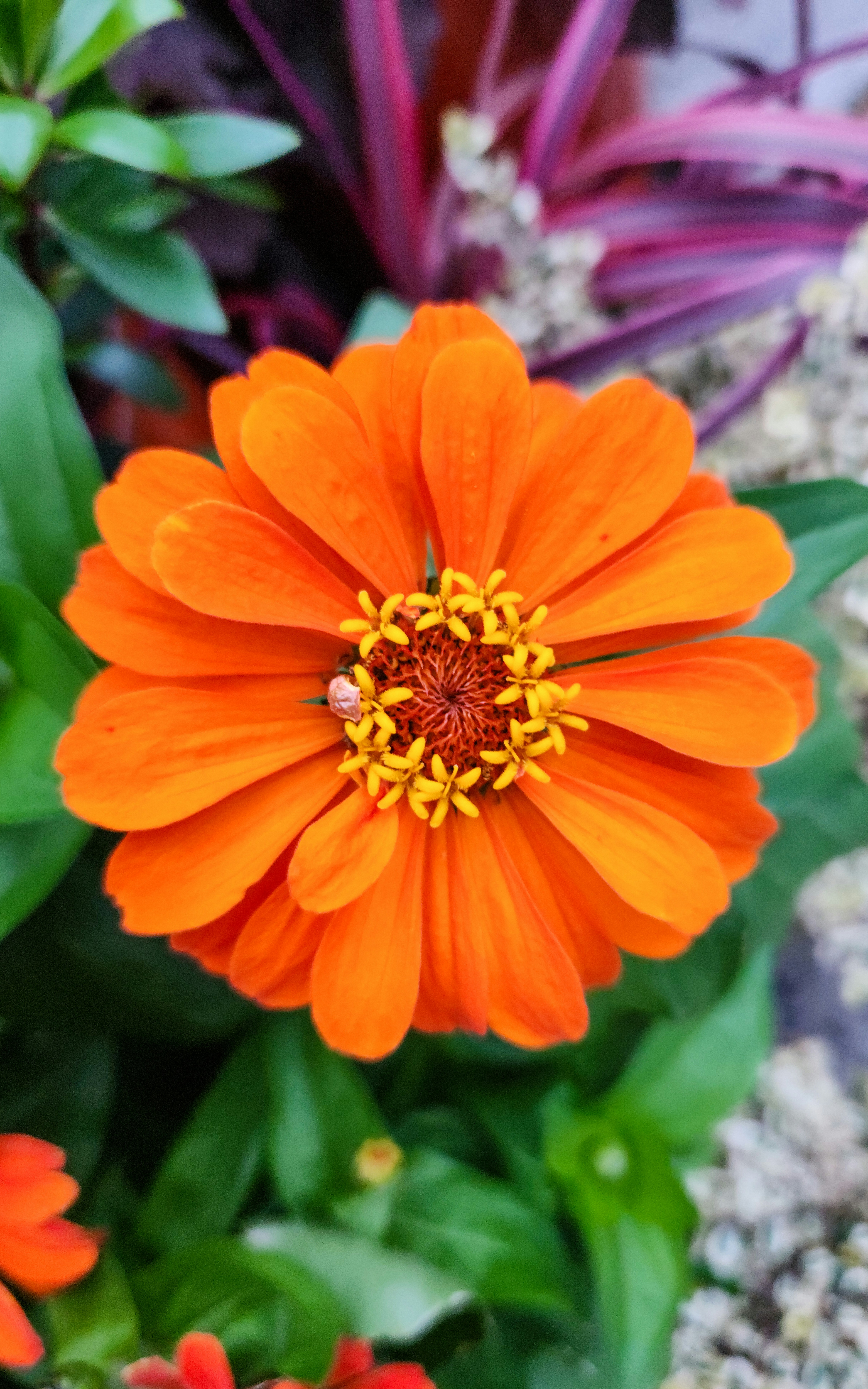 Photo by zoshuacolah