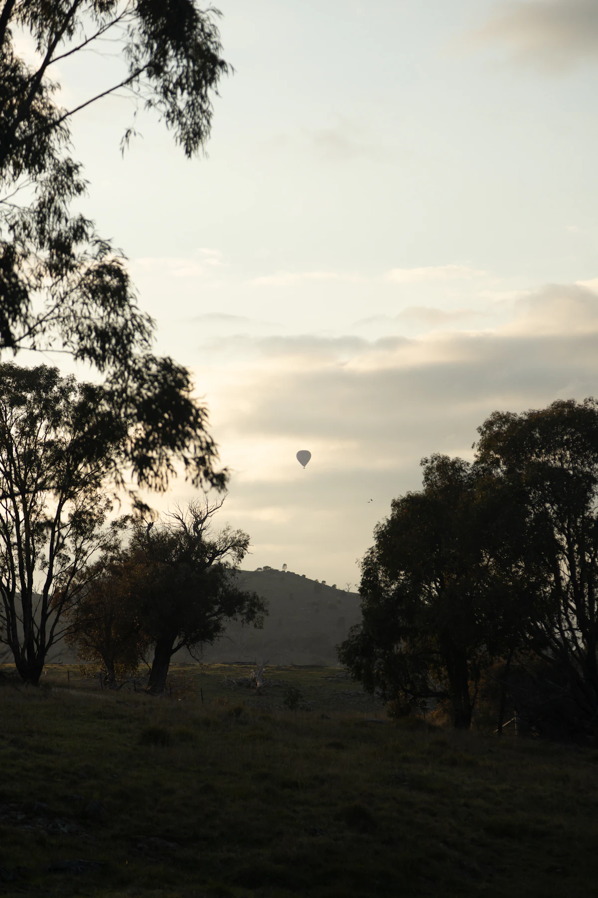 Hot air balloon over green fields