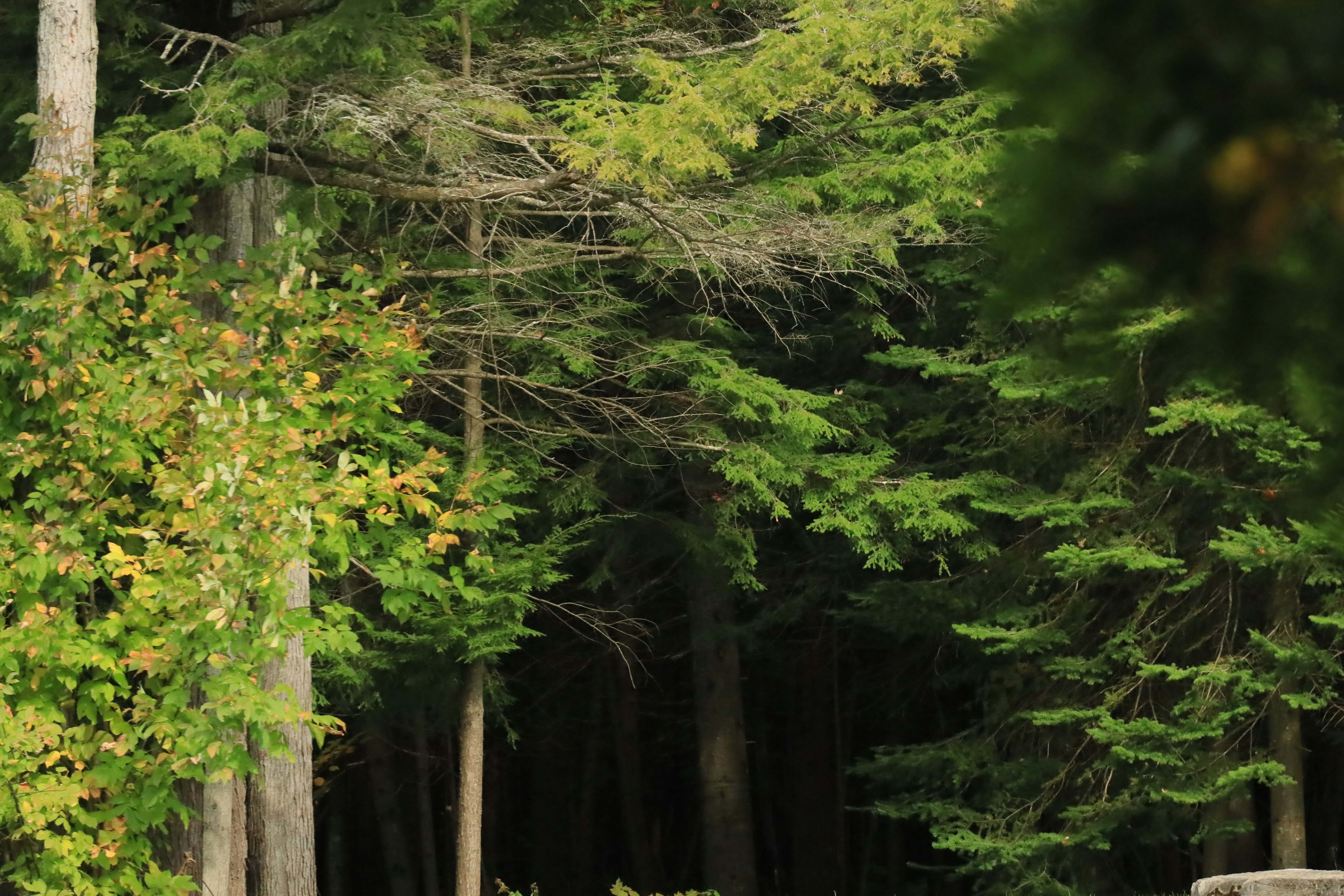 Photo by richardworks