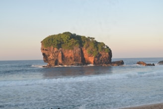 A group of people standing on a beach next to the ocean