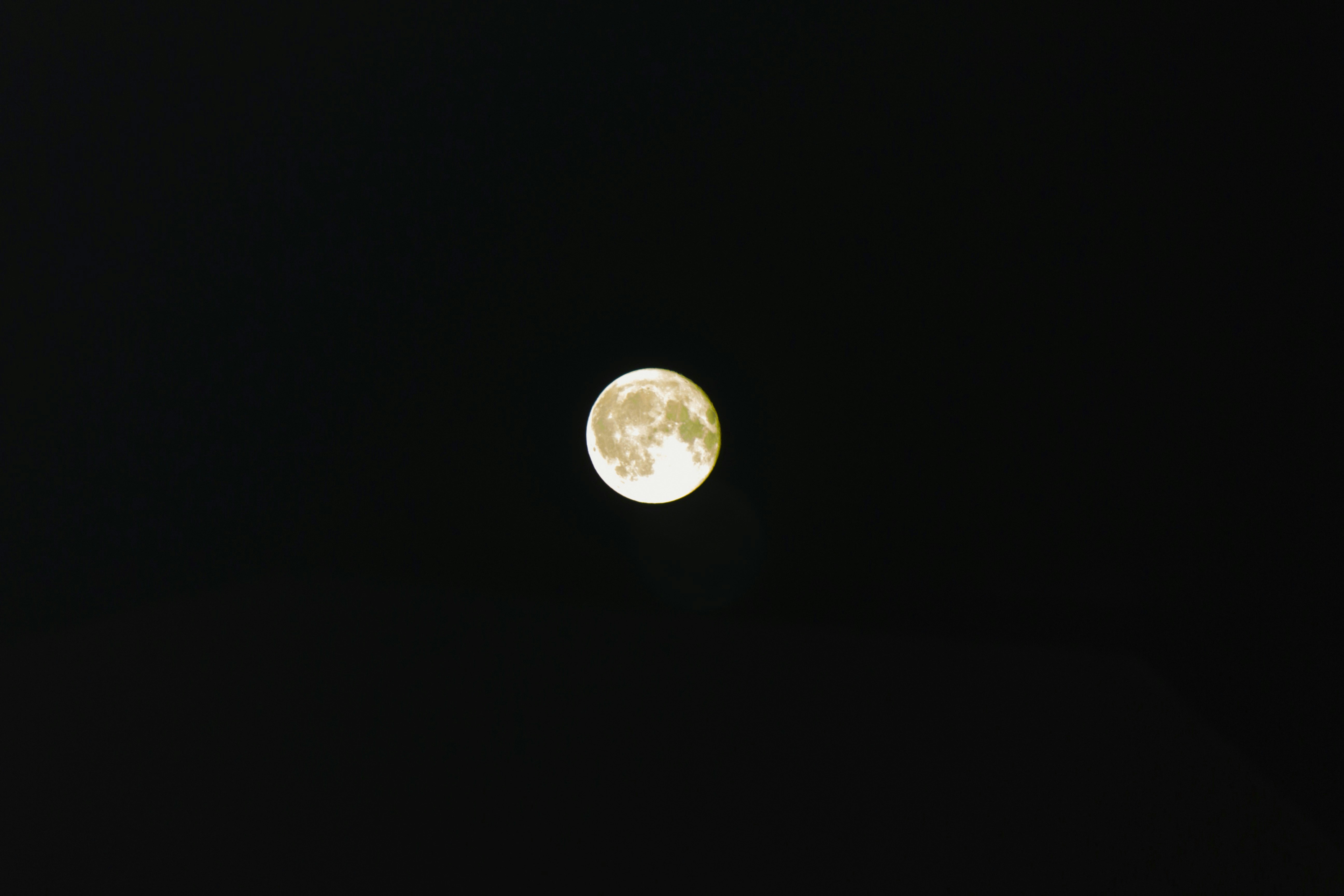 Photo by cengizozarpat