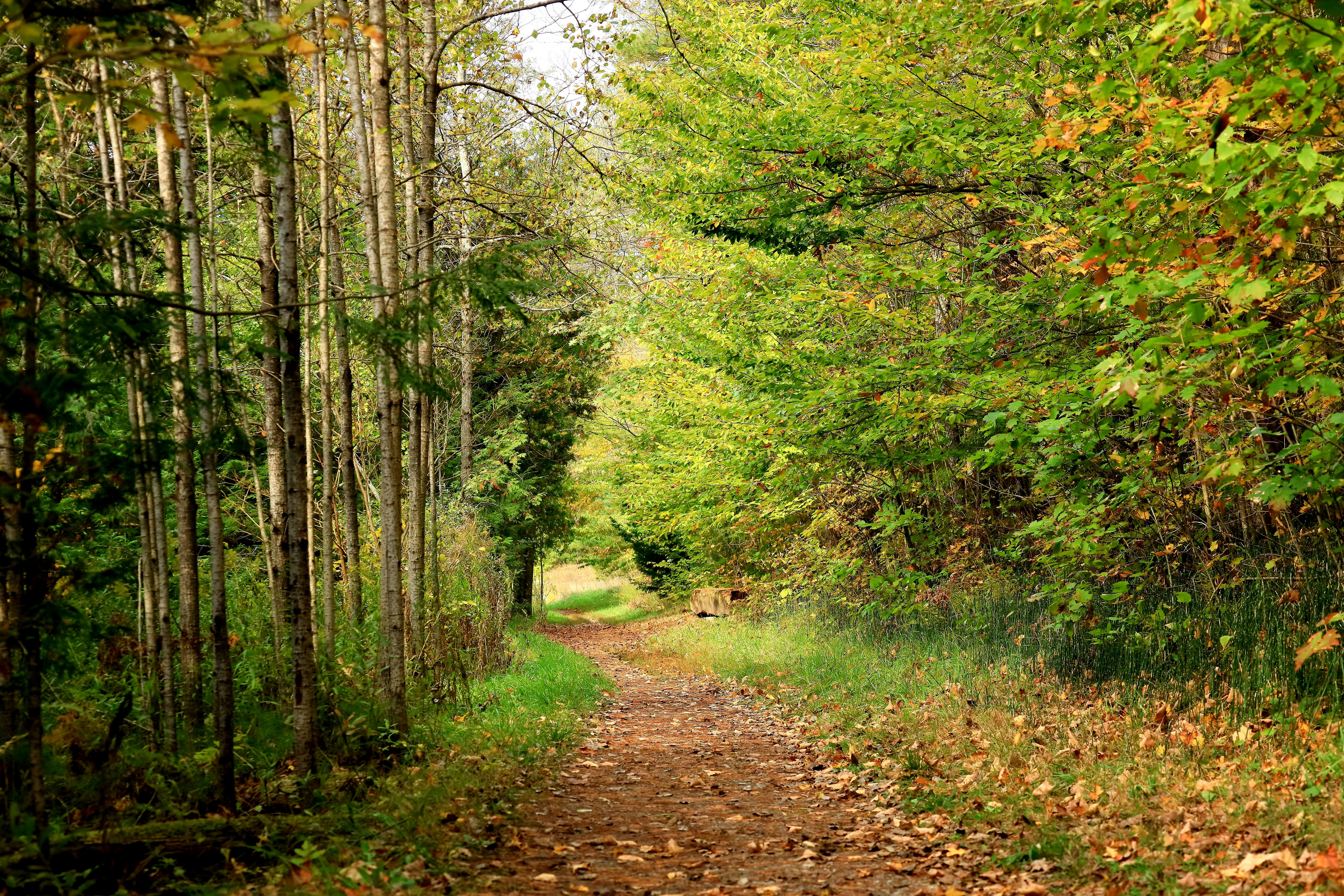 Photo by richardworks