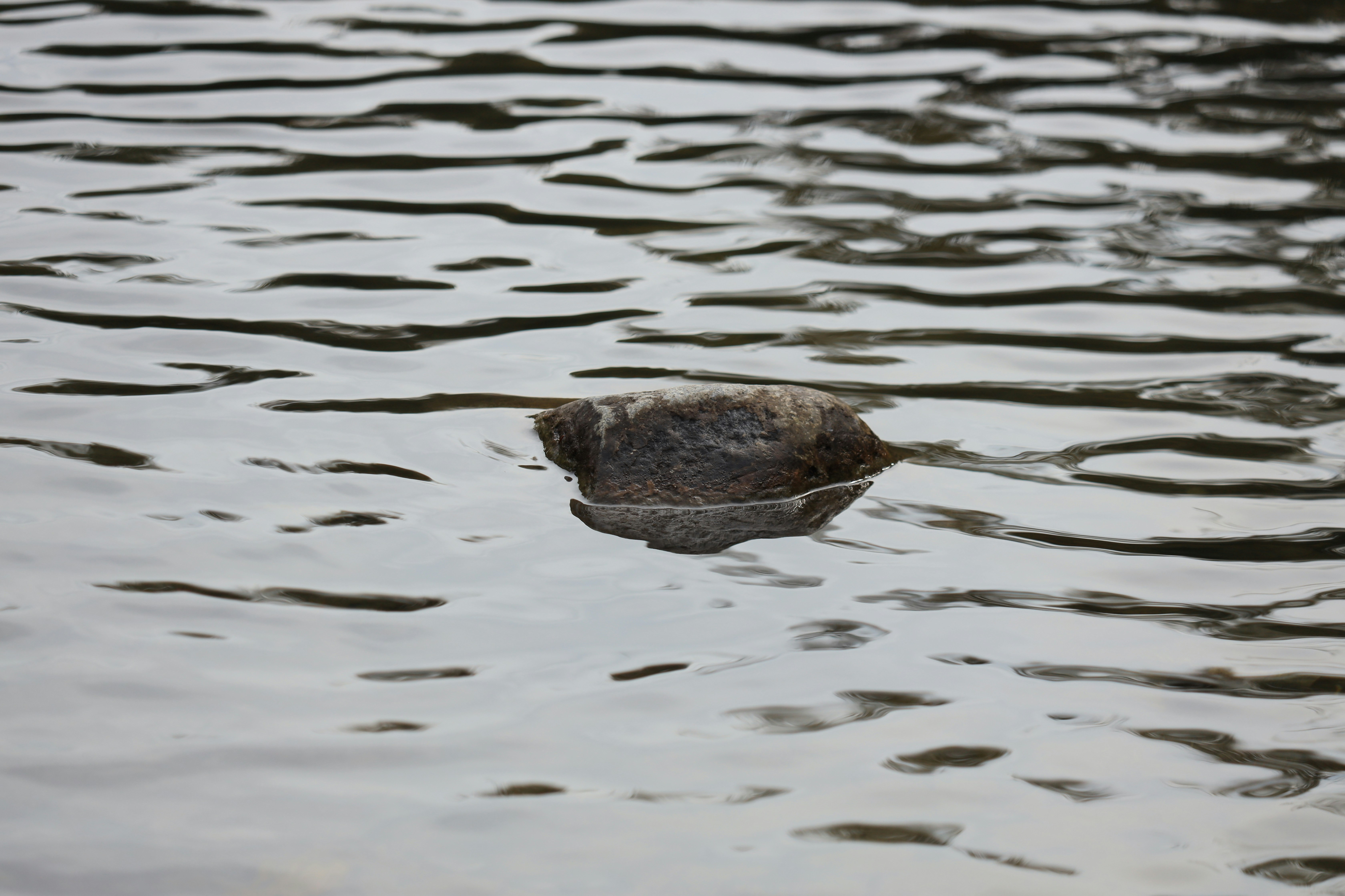 Photo by richardworks