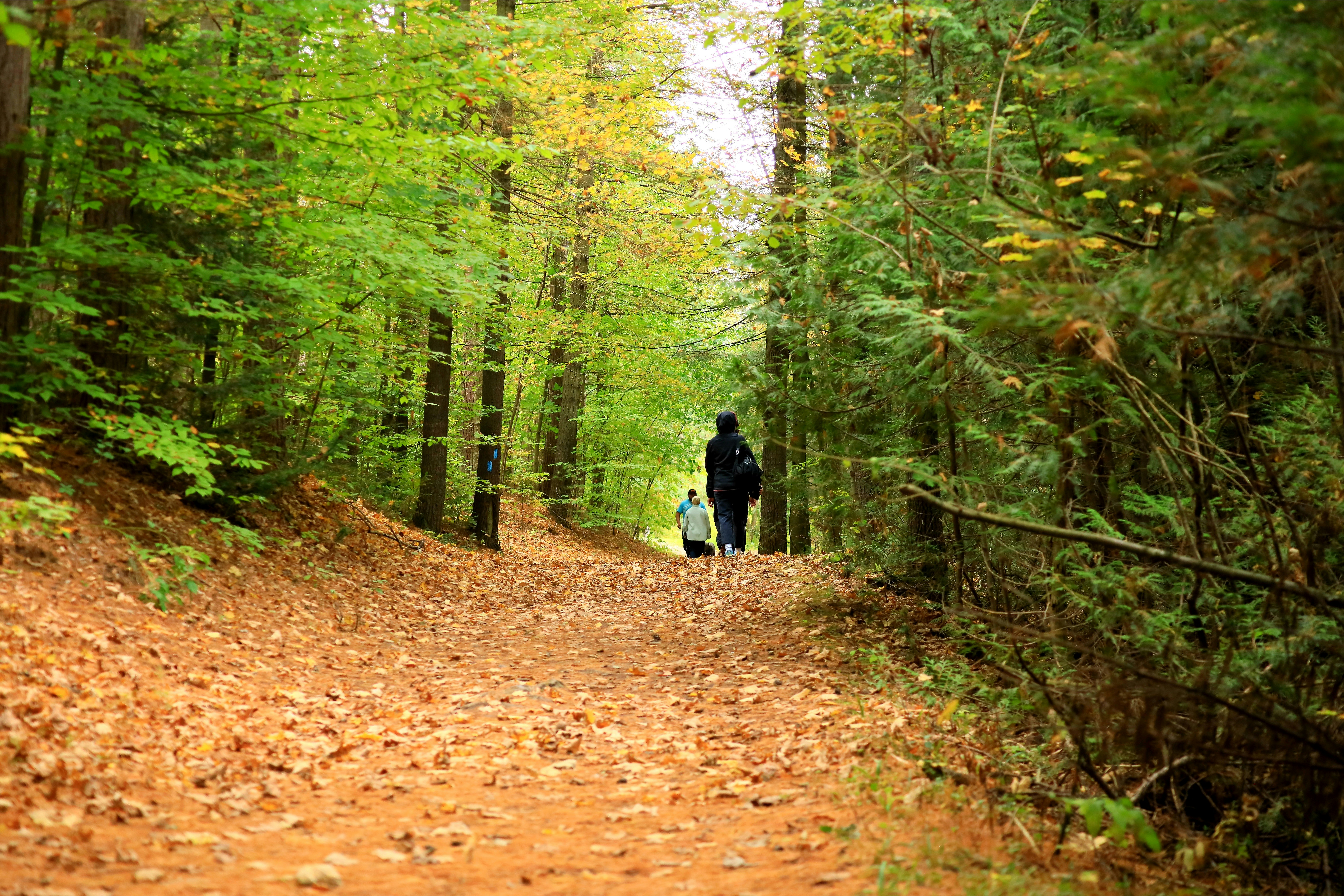 Photo by richardworks