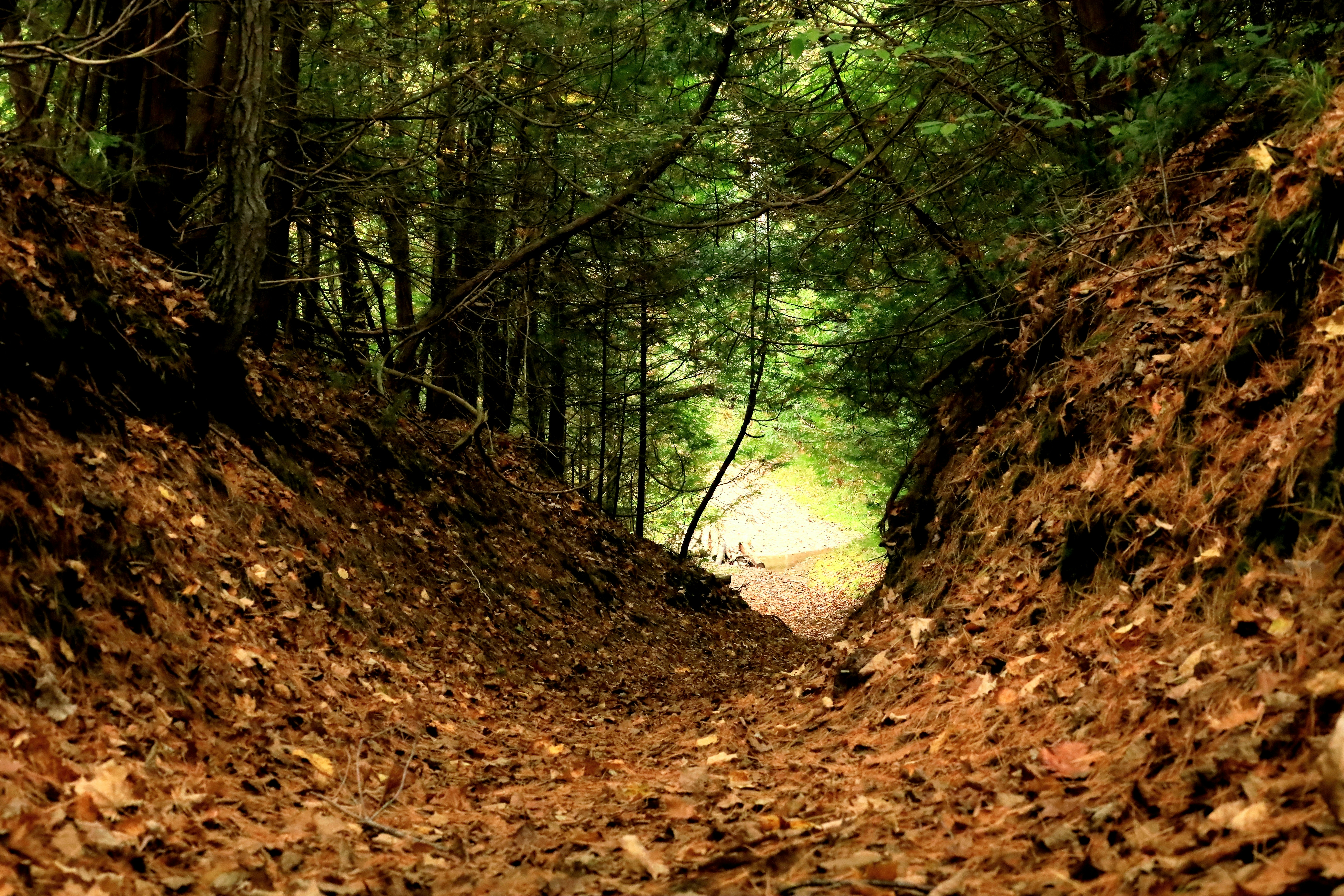 Photo by richardworks