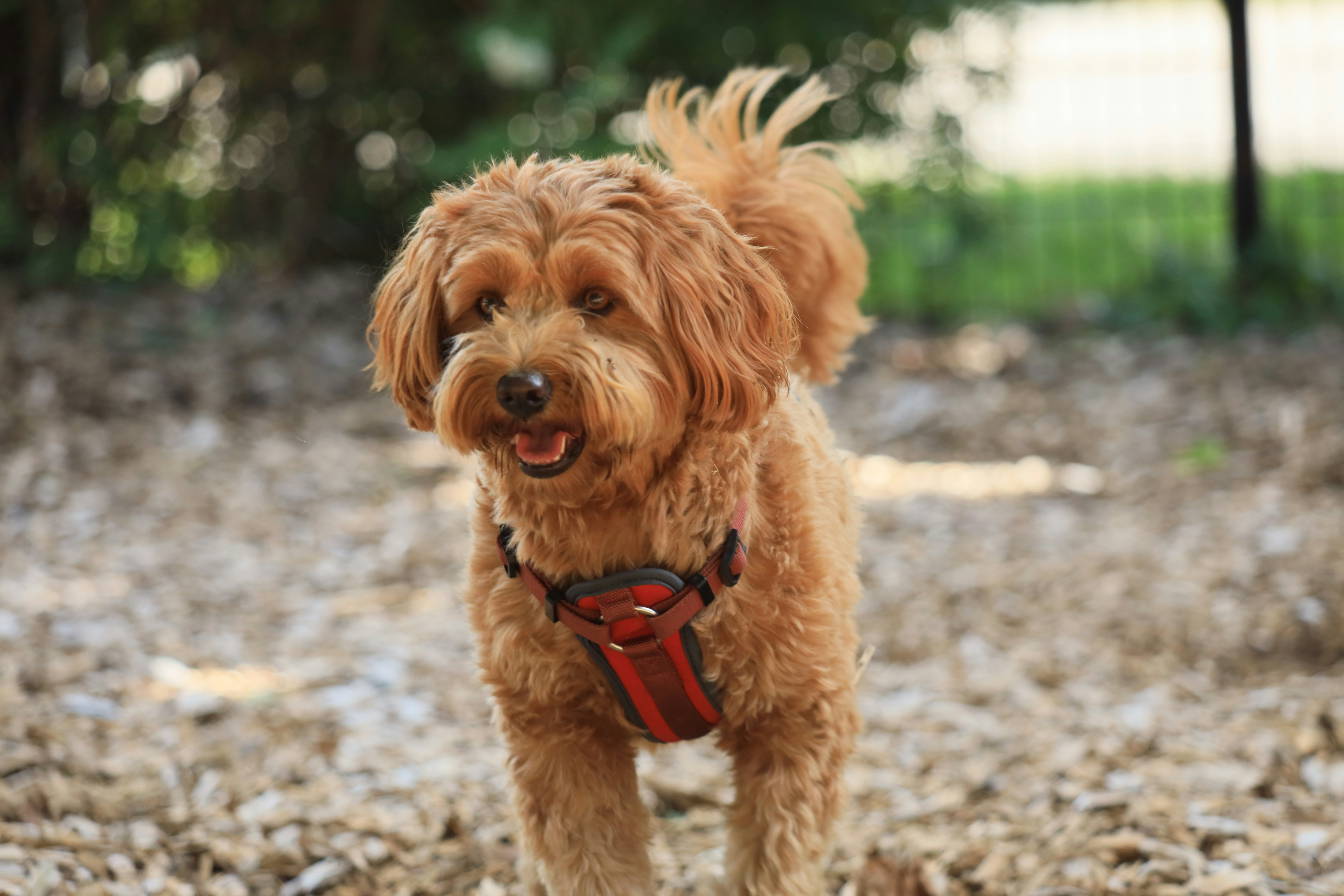 Photo by richardworks