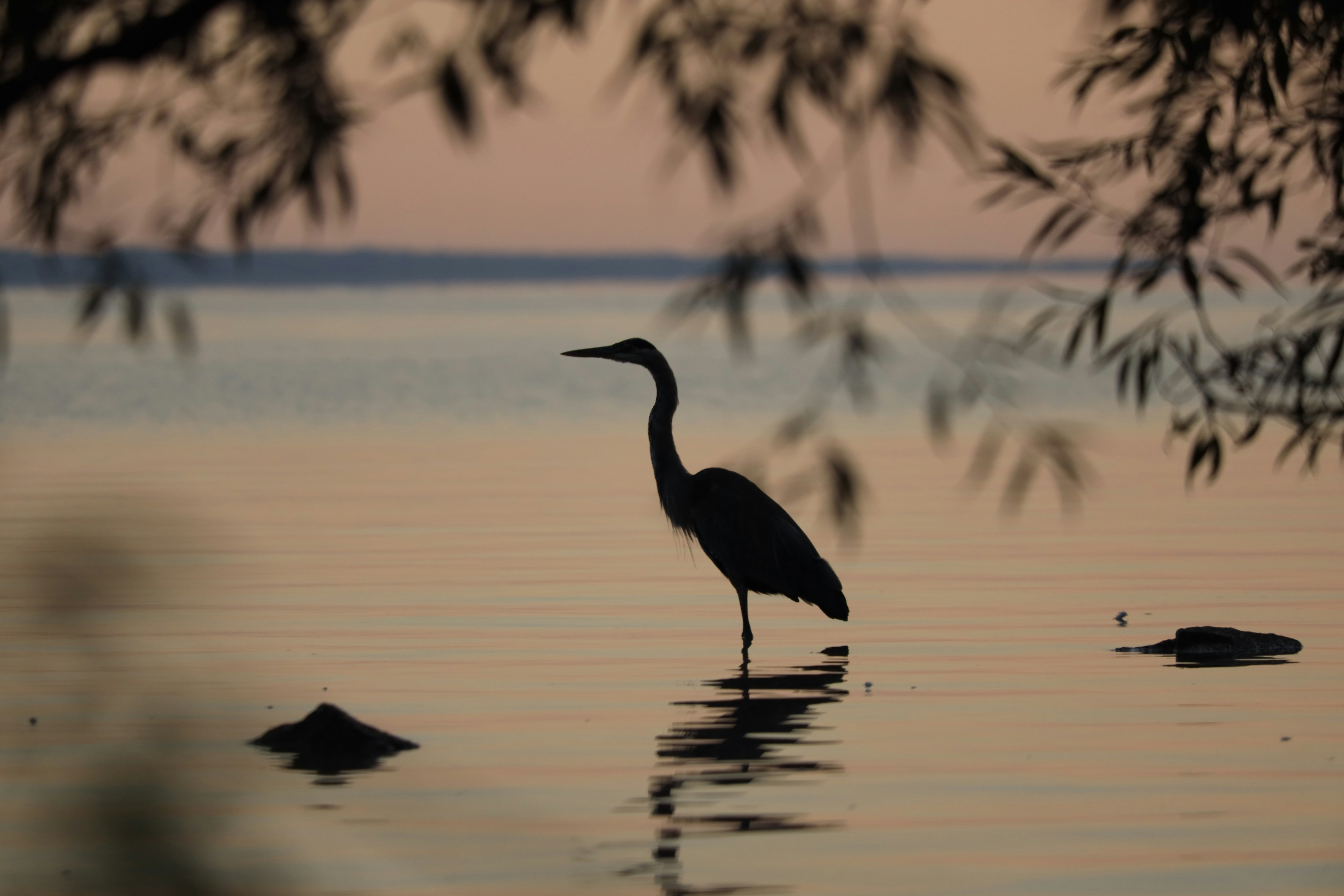 Photo by richardworks