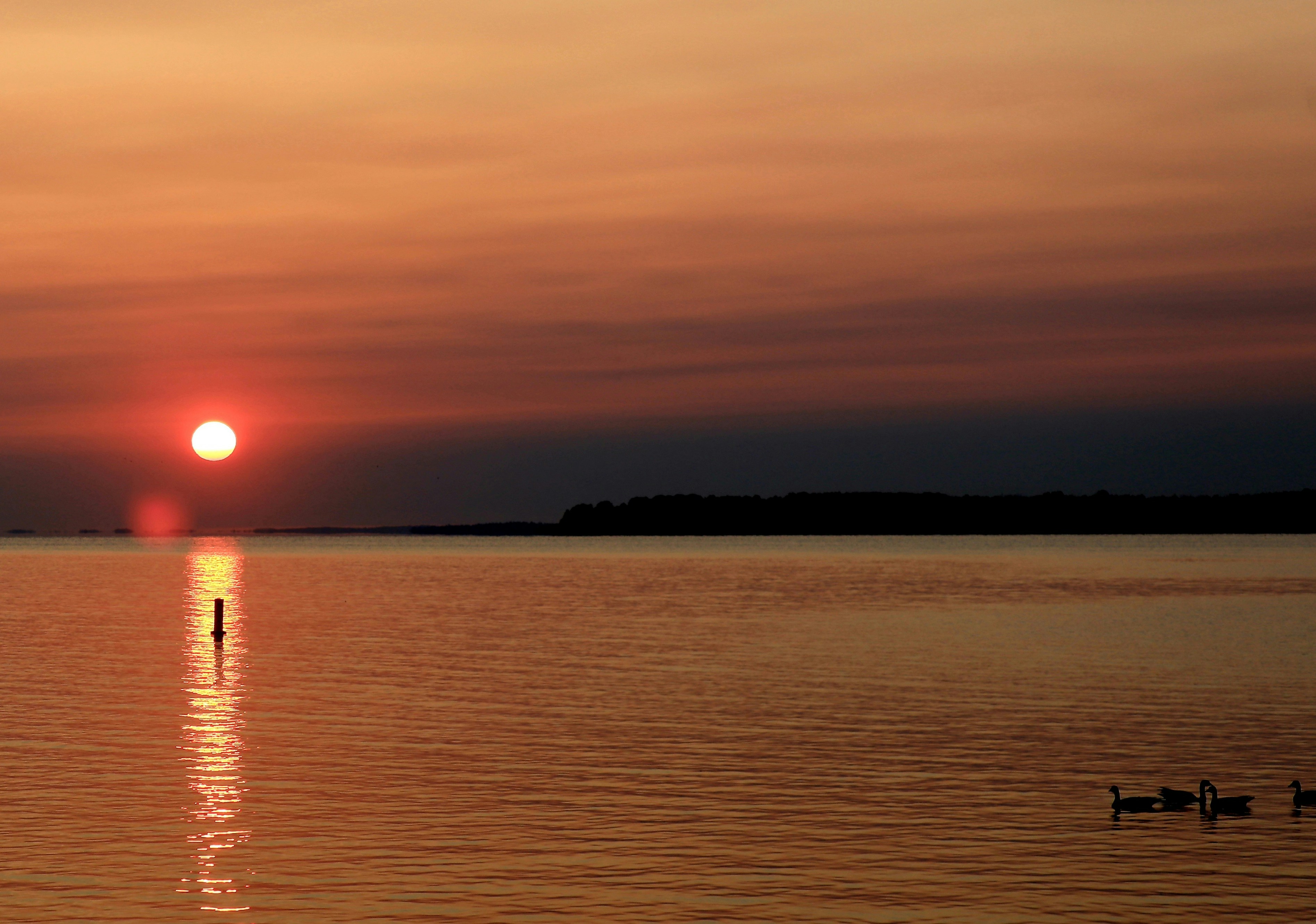 Photo by richardworks