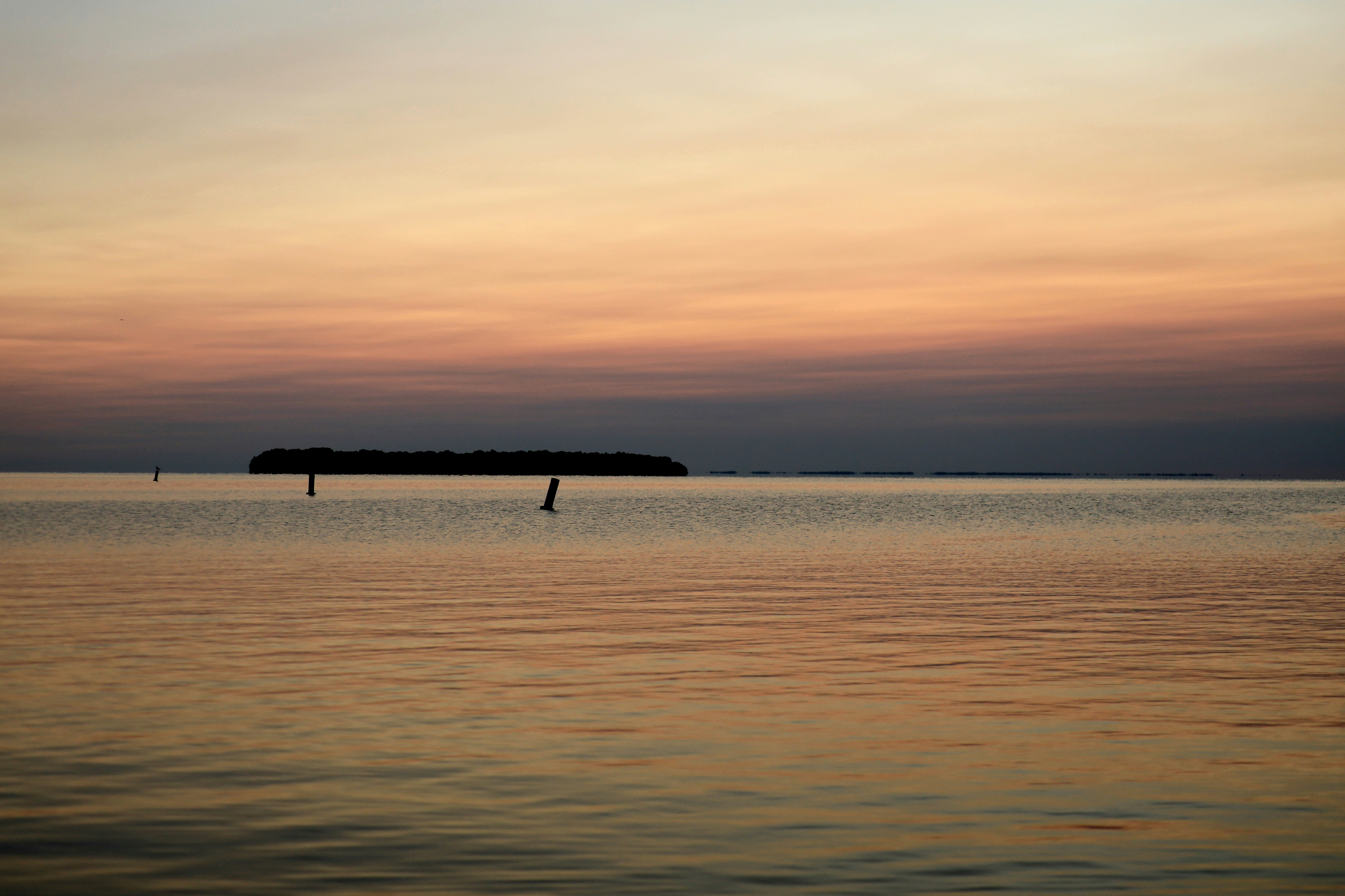 Photo by richardworks