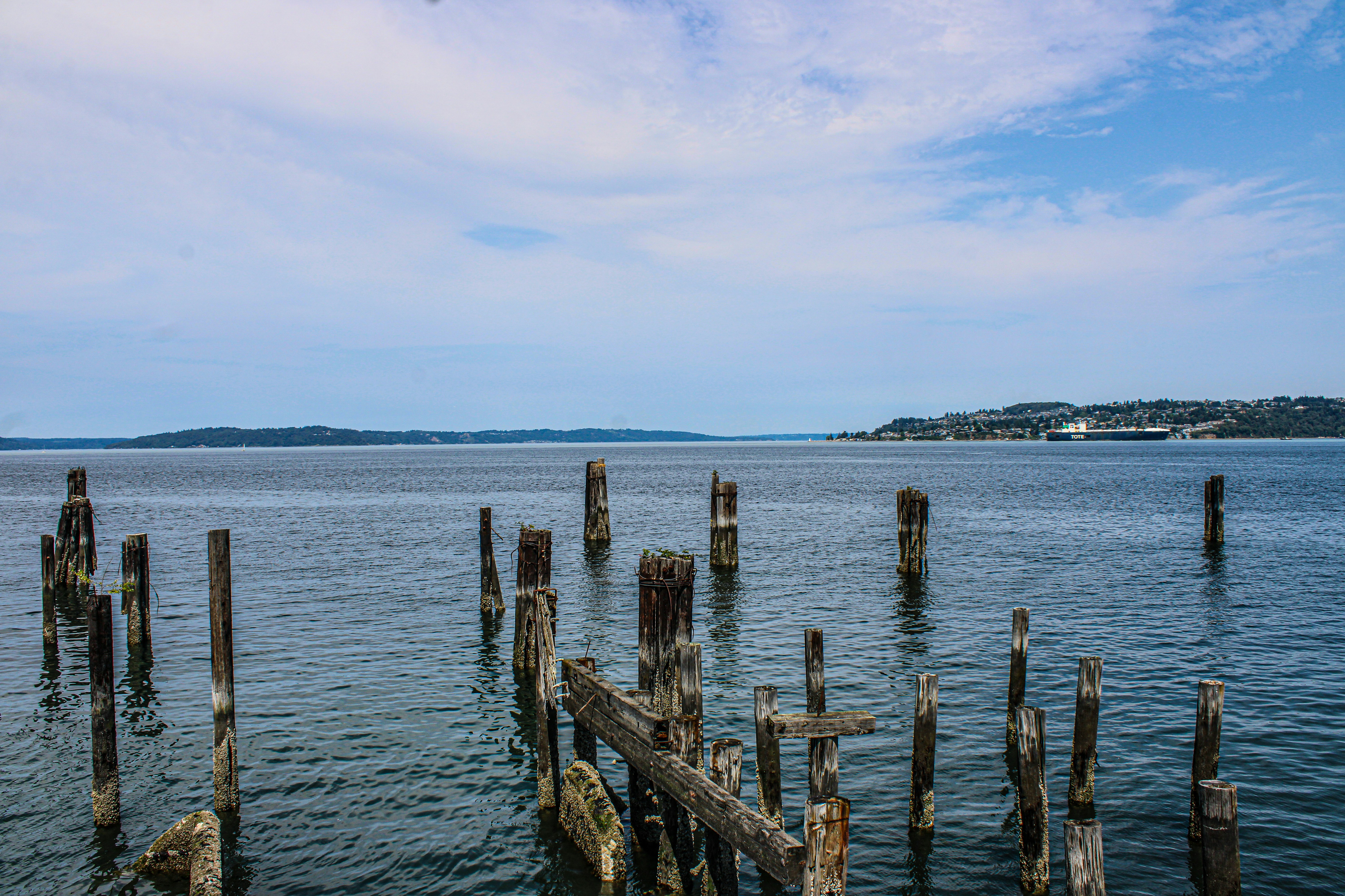 Photo by prphotography262