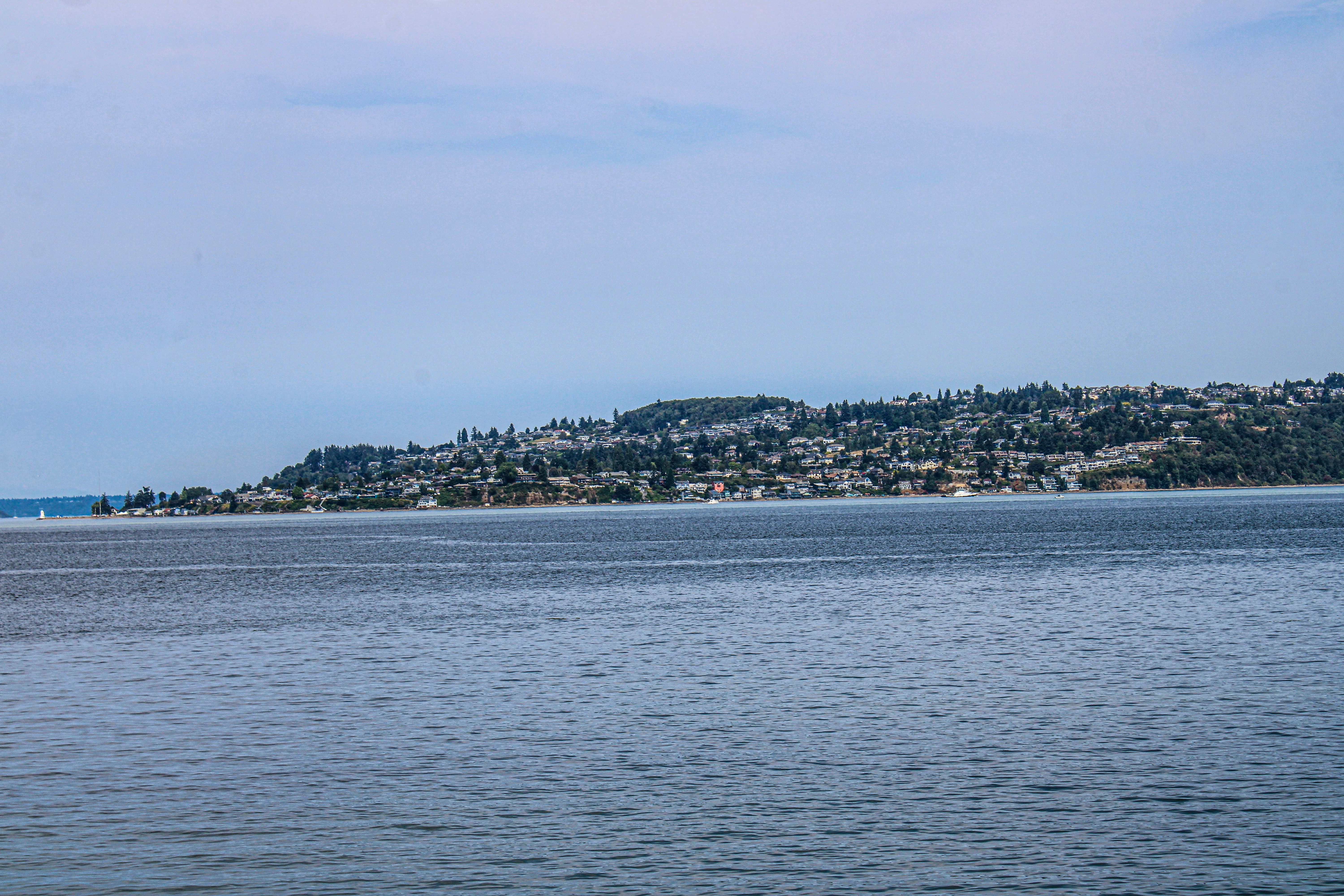 Photo by prphotography262