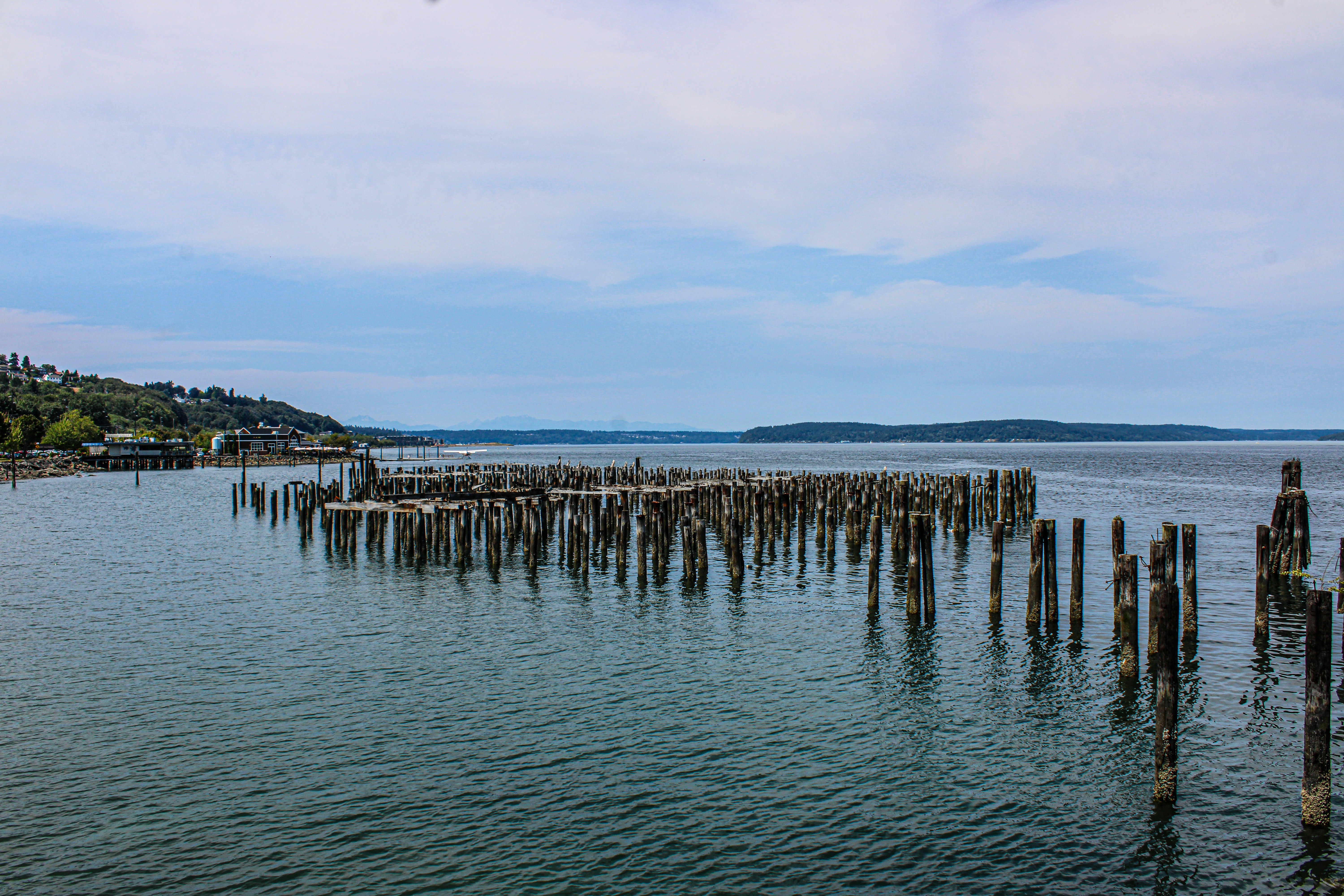 Photo by prphotography262