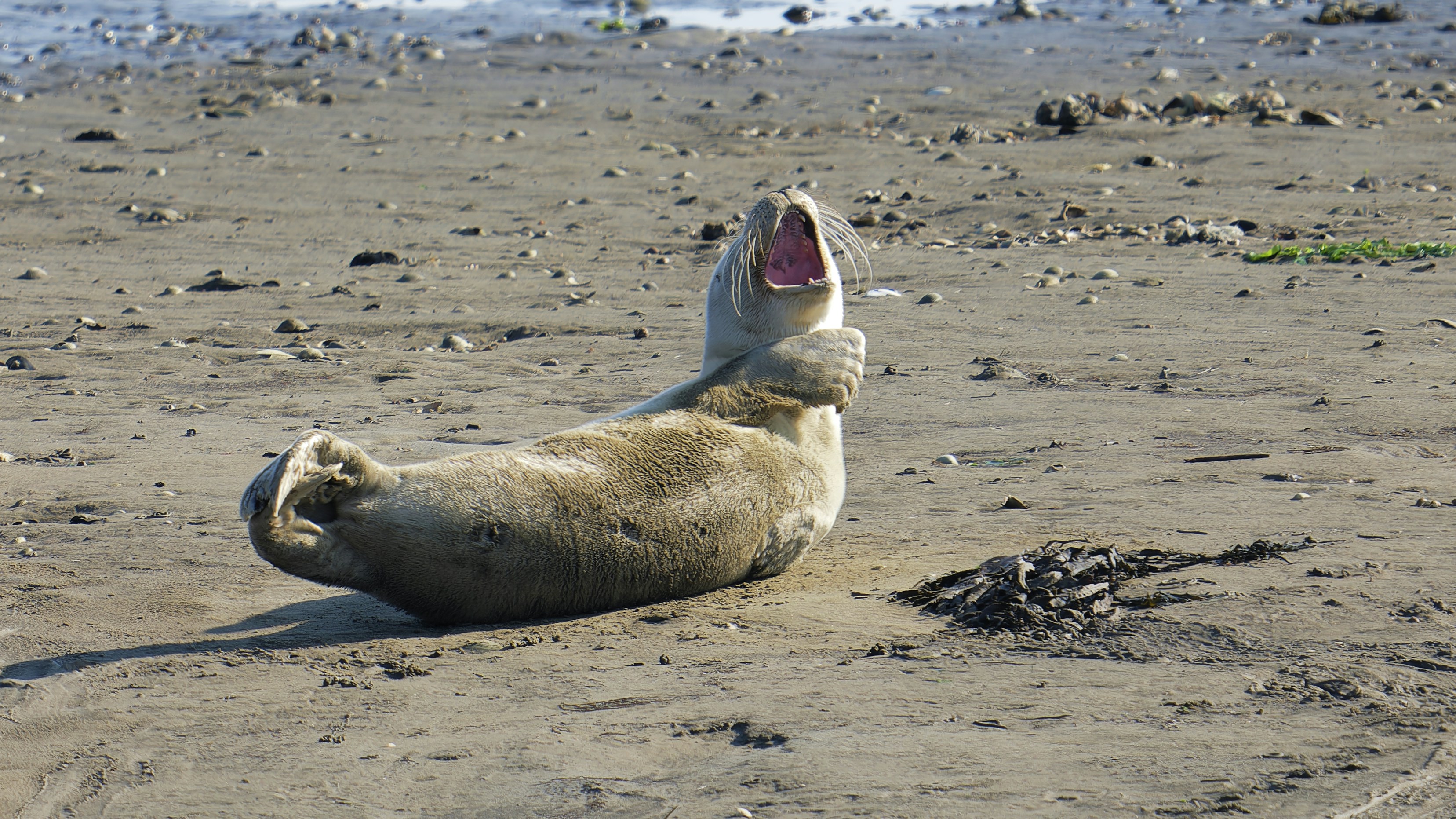 Photo by on_earth_in_space