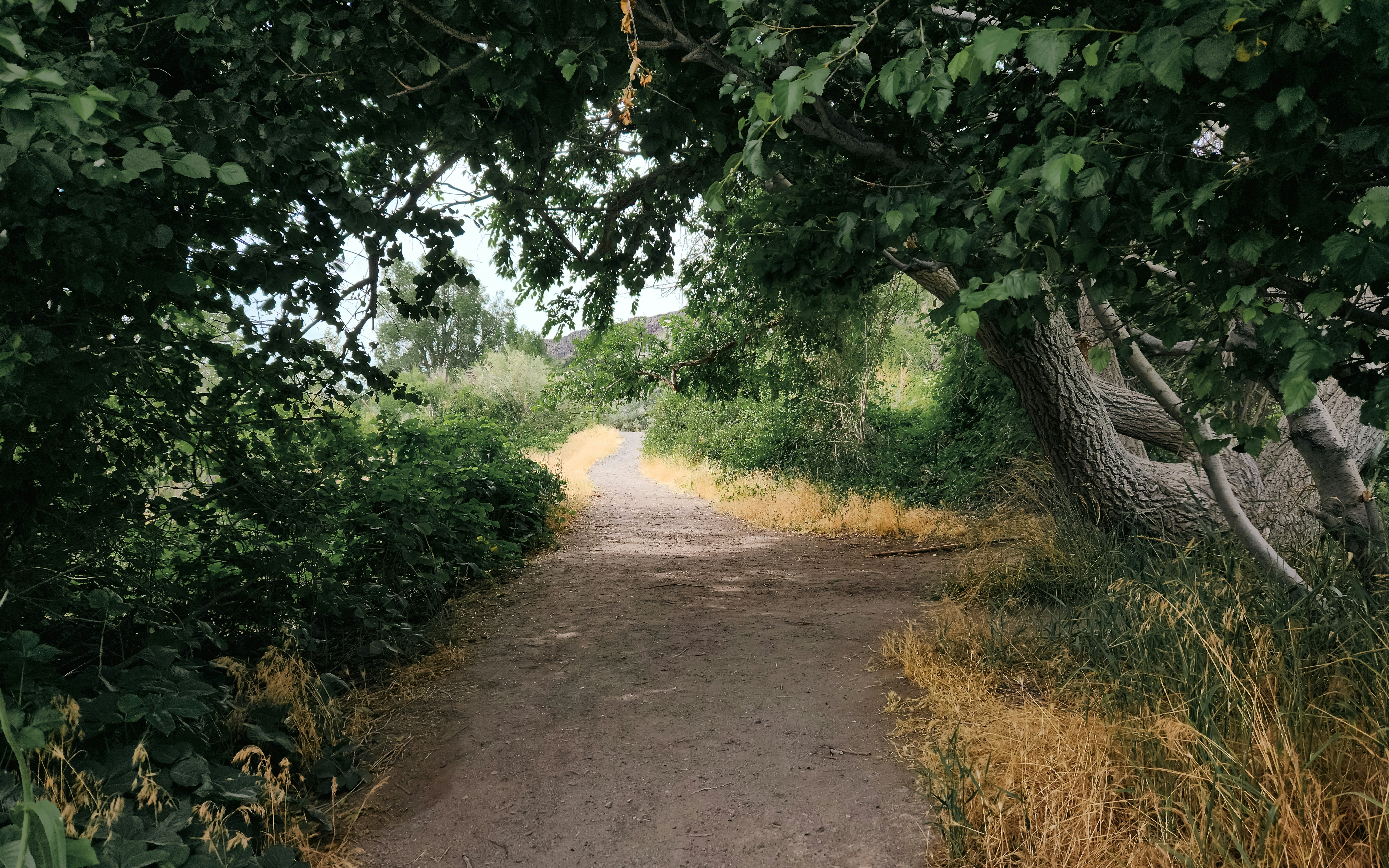 Photo by zoshuacolah