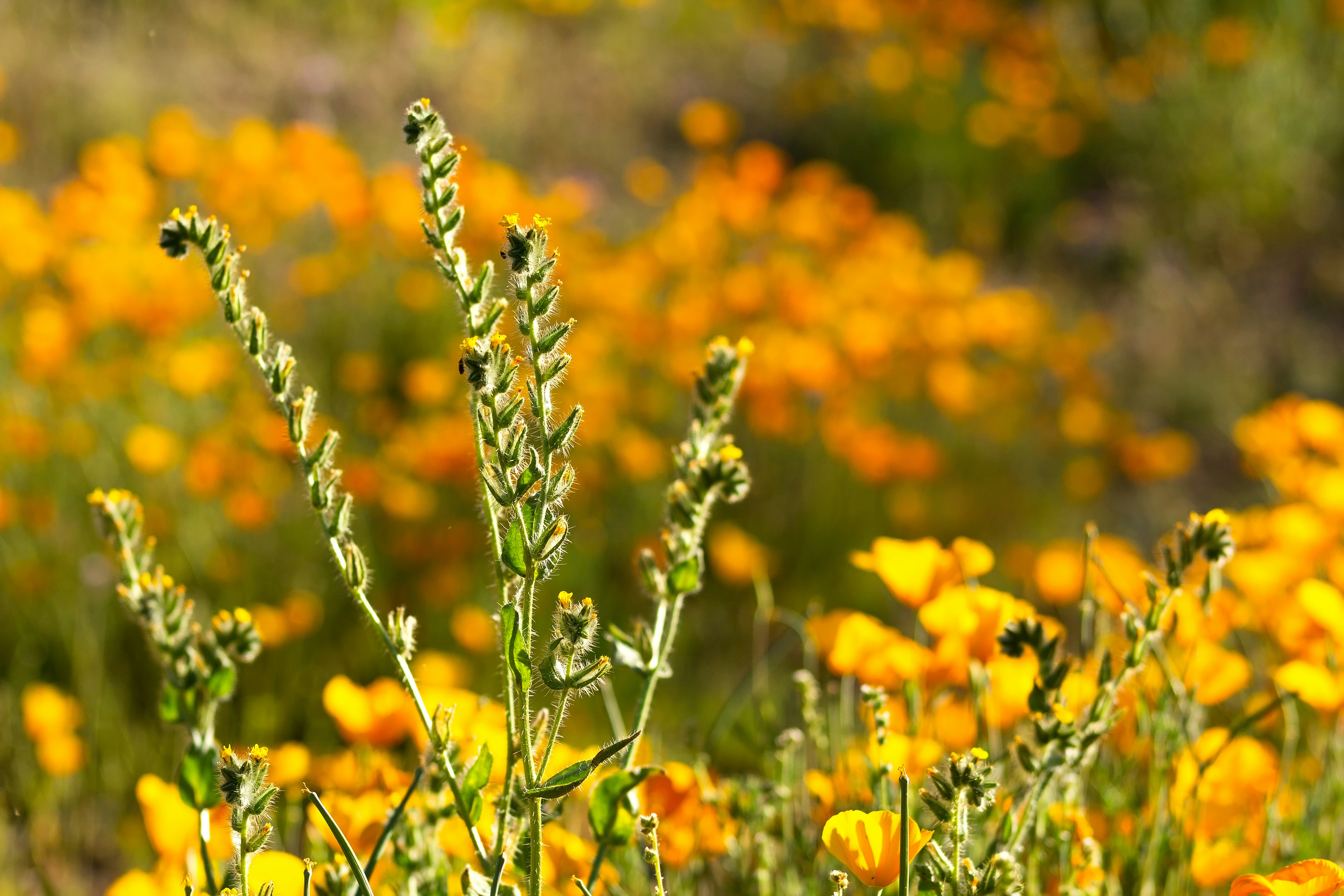 Photo by jordyn_nicolephotography