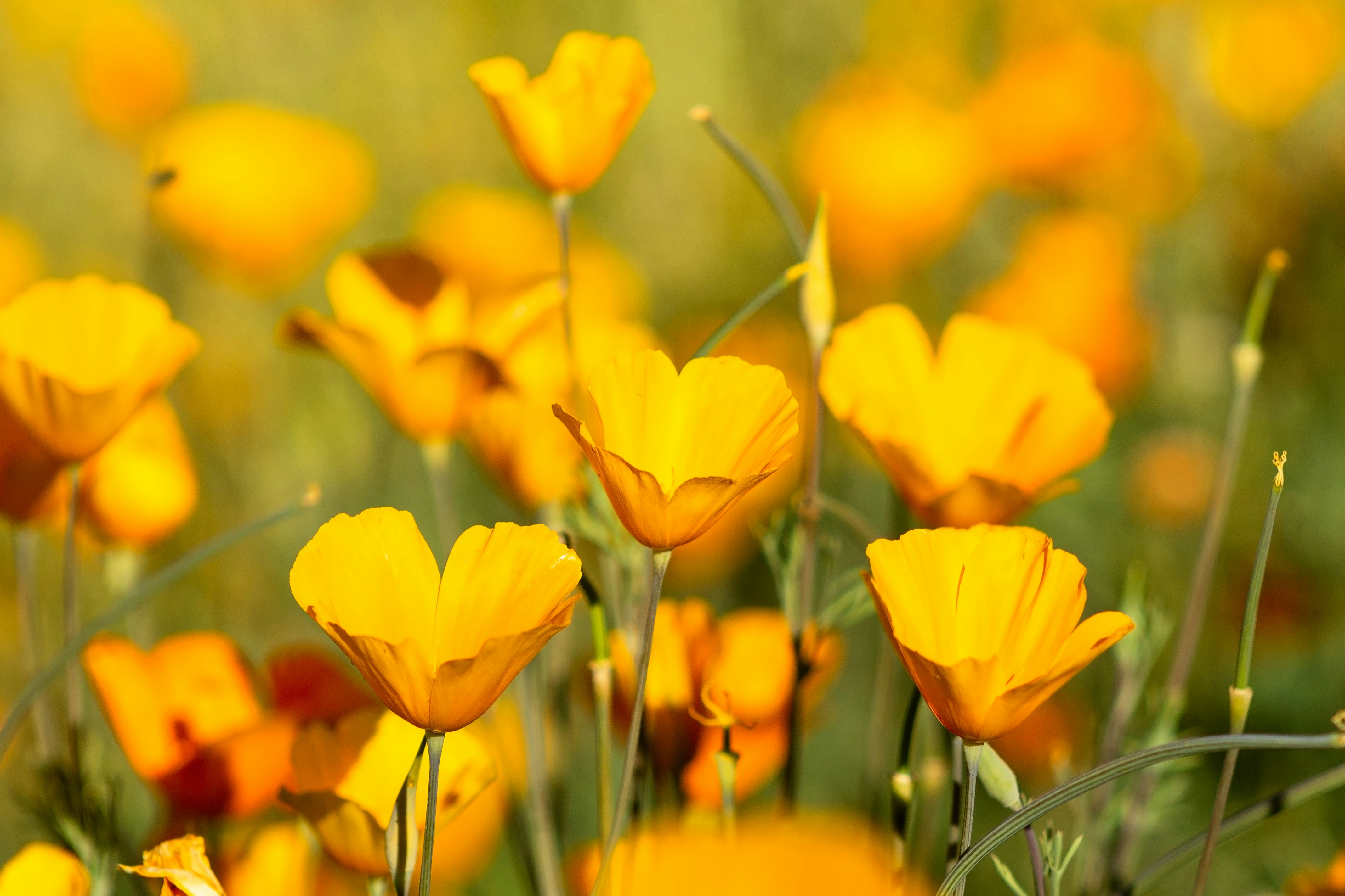 Photo by jordyn_nicolephotography