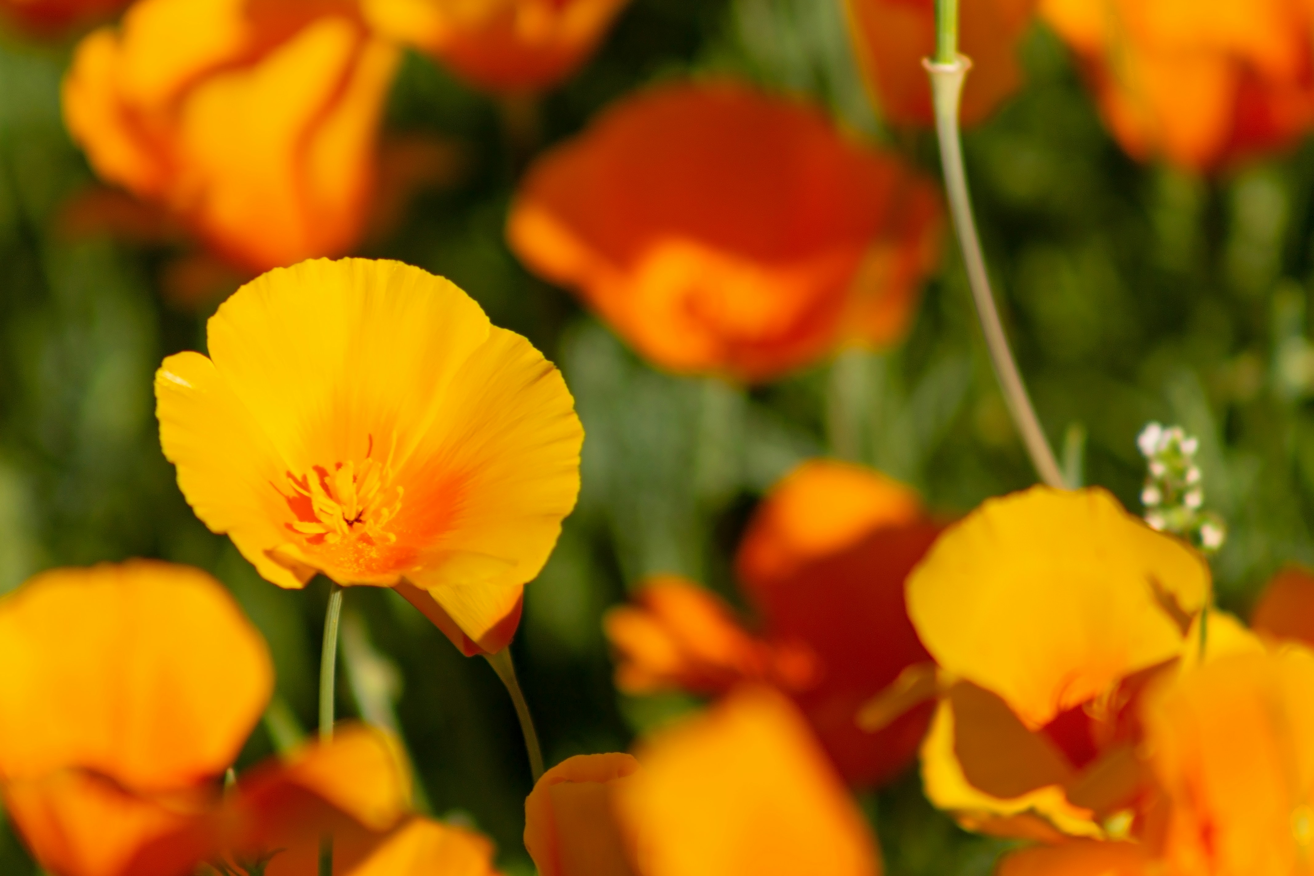 Photo by jordyn_nicolephotography